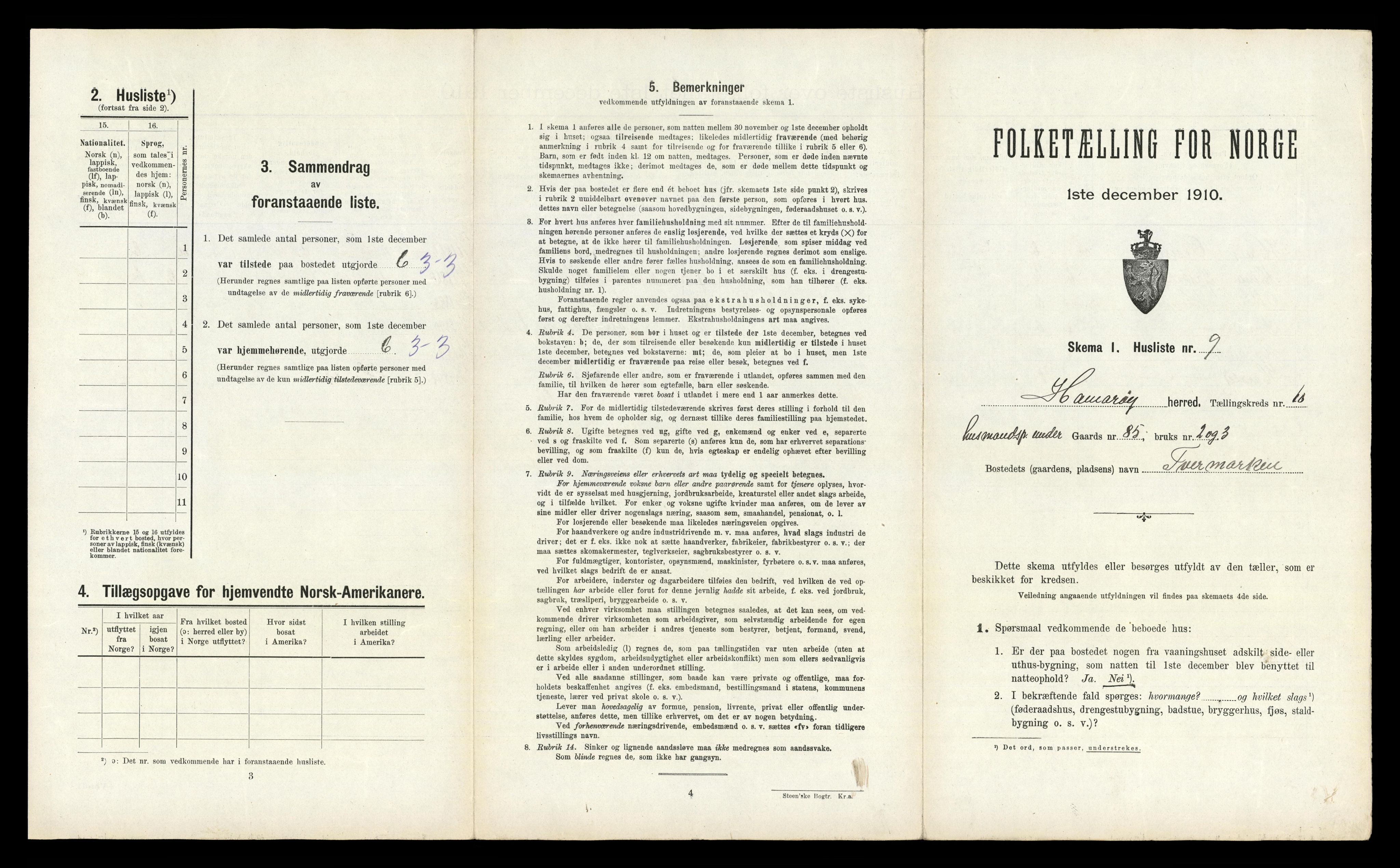 RA, 1910 census for Hamarøy, 1910, p. 1006