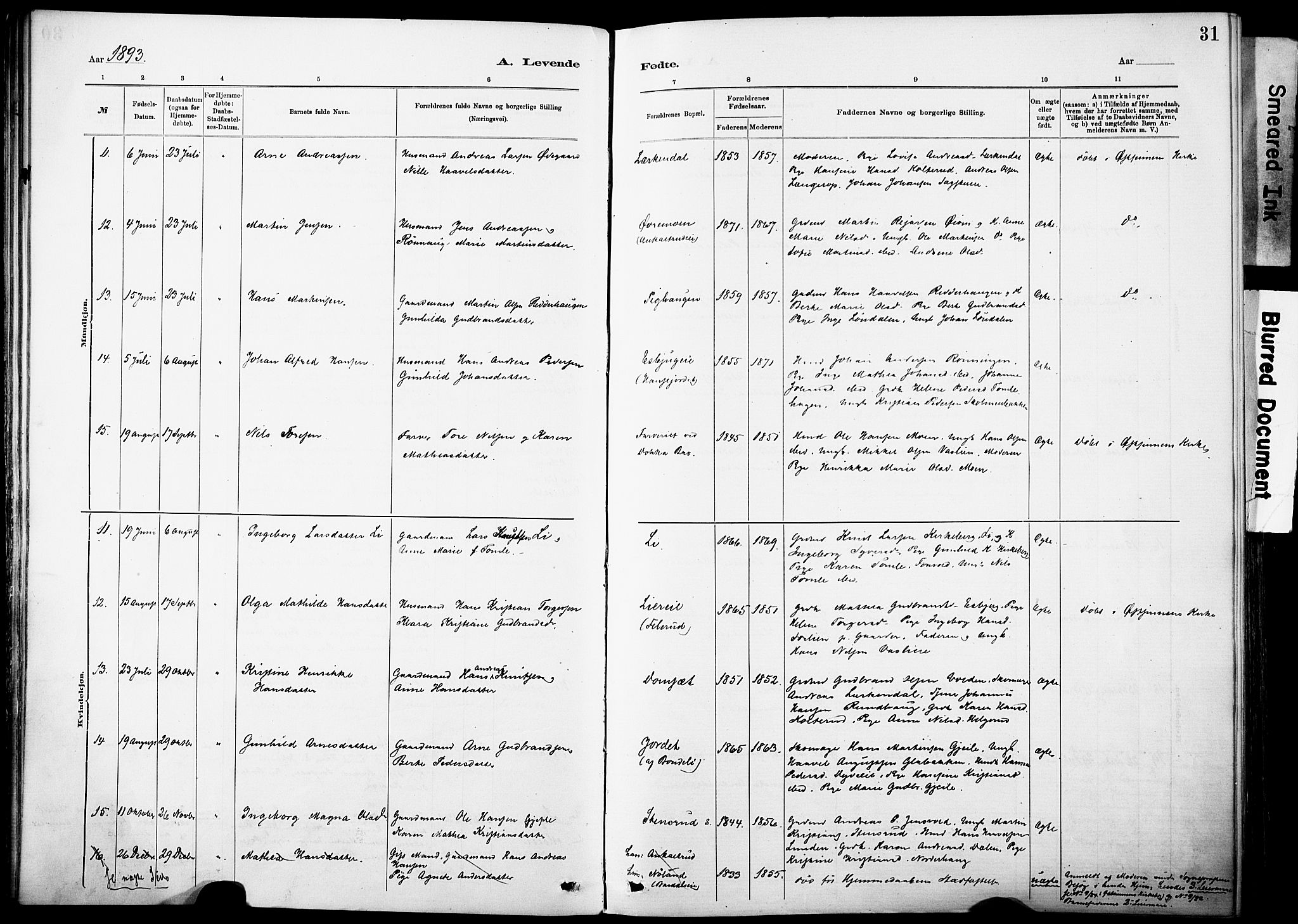 Nordre Land prestekontor, SAH/PREST-124/H/Ha/Haa/L0005: Parish register (official) no. 5, 1882-1903, p. 31