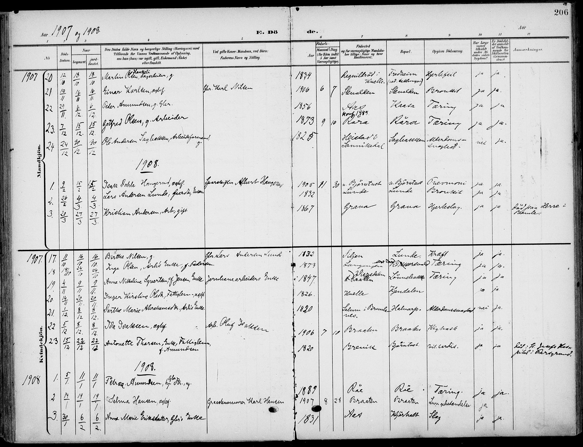 Eidanger kirkebøker, SAKO/A-261/F/Fa/L0013: Parish register (official) no. 13, 1900-1913, p. 206