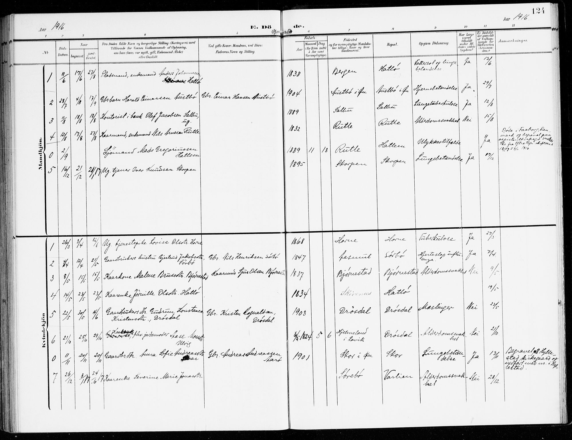 Hyllestad sokneprestembete, SAB/A-80401: Parish register (official) no. D 2, 1905-1919, p. 124