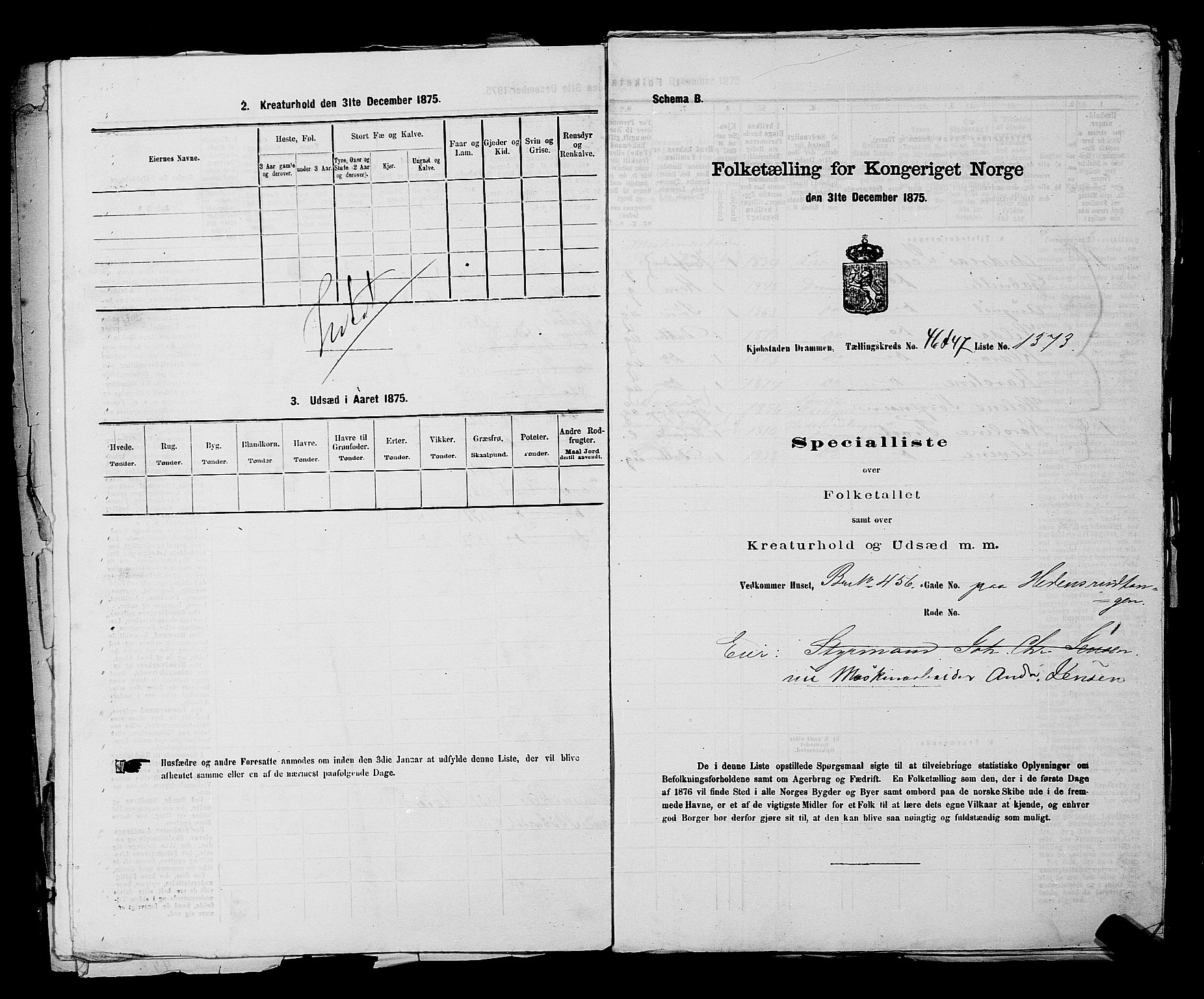 SAKO, 1875 census for 0602 Drammen, 1875, p. 3688