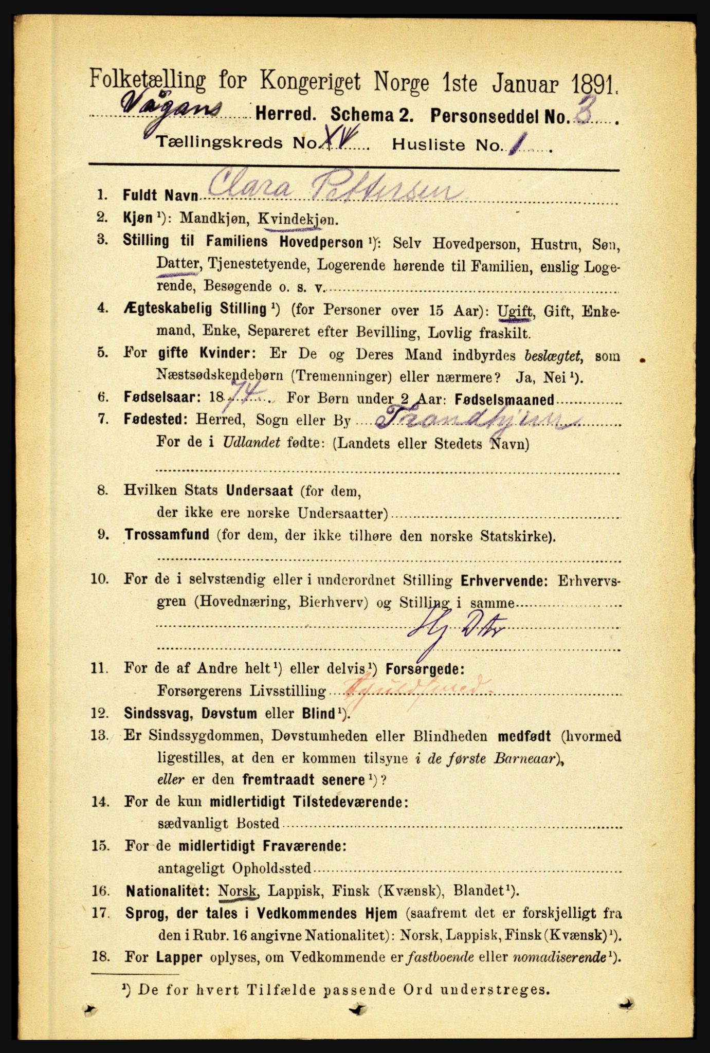 RA, 1891 census for 1865 Vågan, 1891, p. 4080