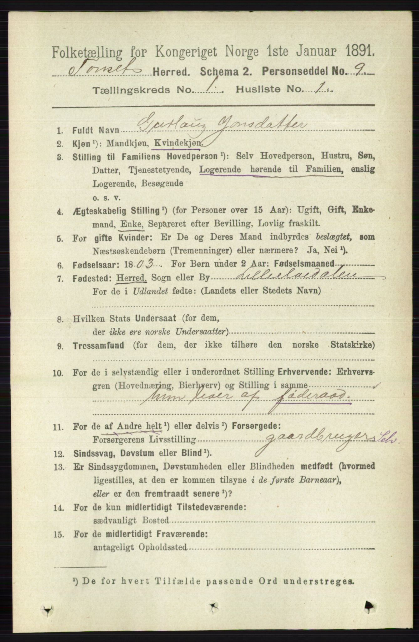 RA, 1891 census for 0437 Tynset, 1891, p. 82