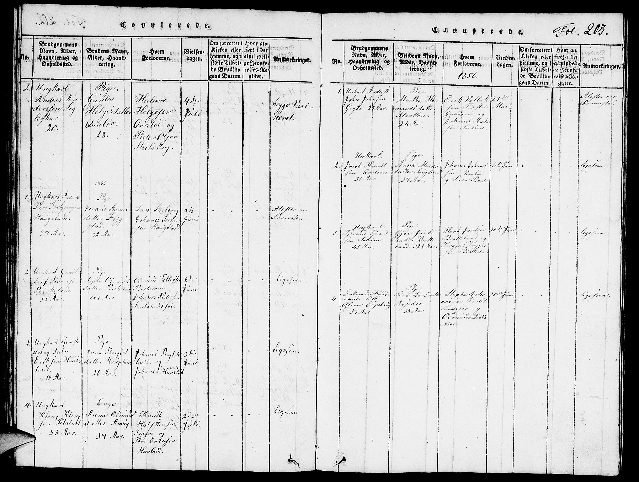 Vikedal sokneprestkontor, AV/SAST-A-101840/01/V: Parish register (copy) no. B 3, 1816-1867, p. 203