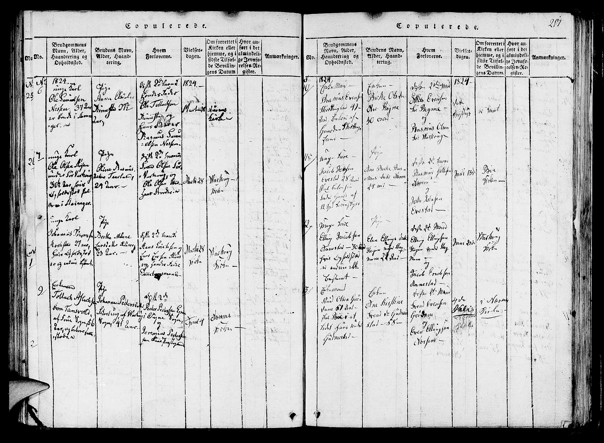 Hå sokneprestkontor, AV/SAST-A-101801/001/30BA/L0003: Parish register (official) no. A 3, 1815-1825, p. 217