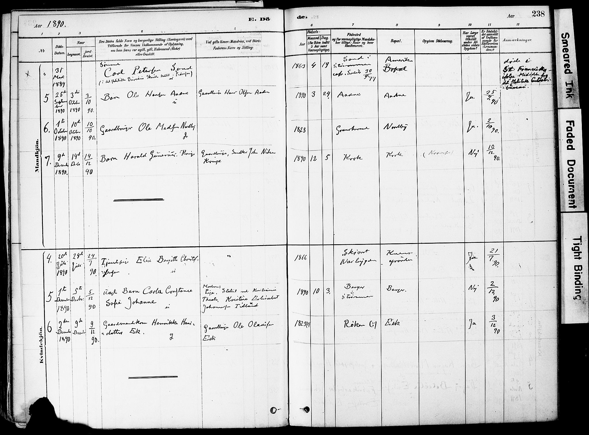 Strømm kirkebøker, AV/SAKO-A-322/F/Fa/L0004: Parish register (official) no. I 4, 1878-1899, p. 238