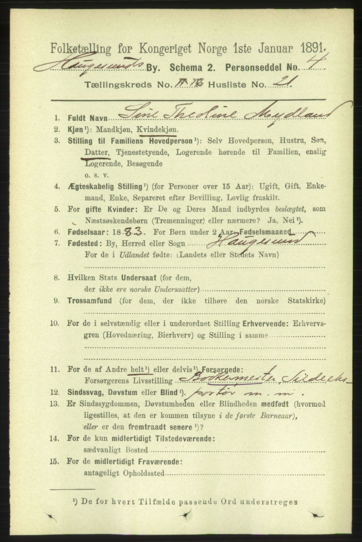 RA, 1891 census for 1106 Haugesund, 1891, p. 4210