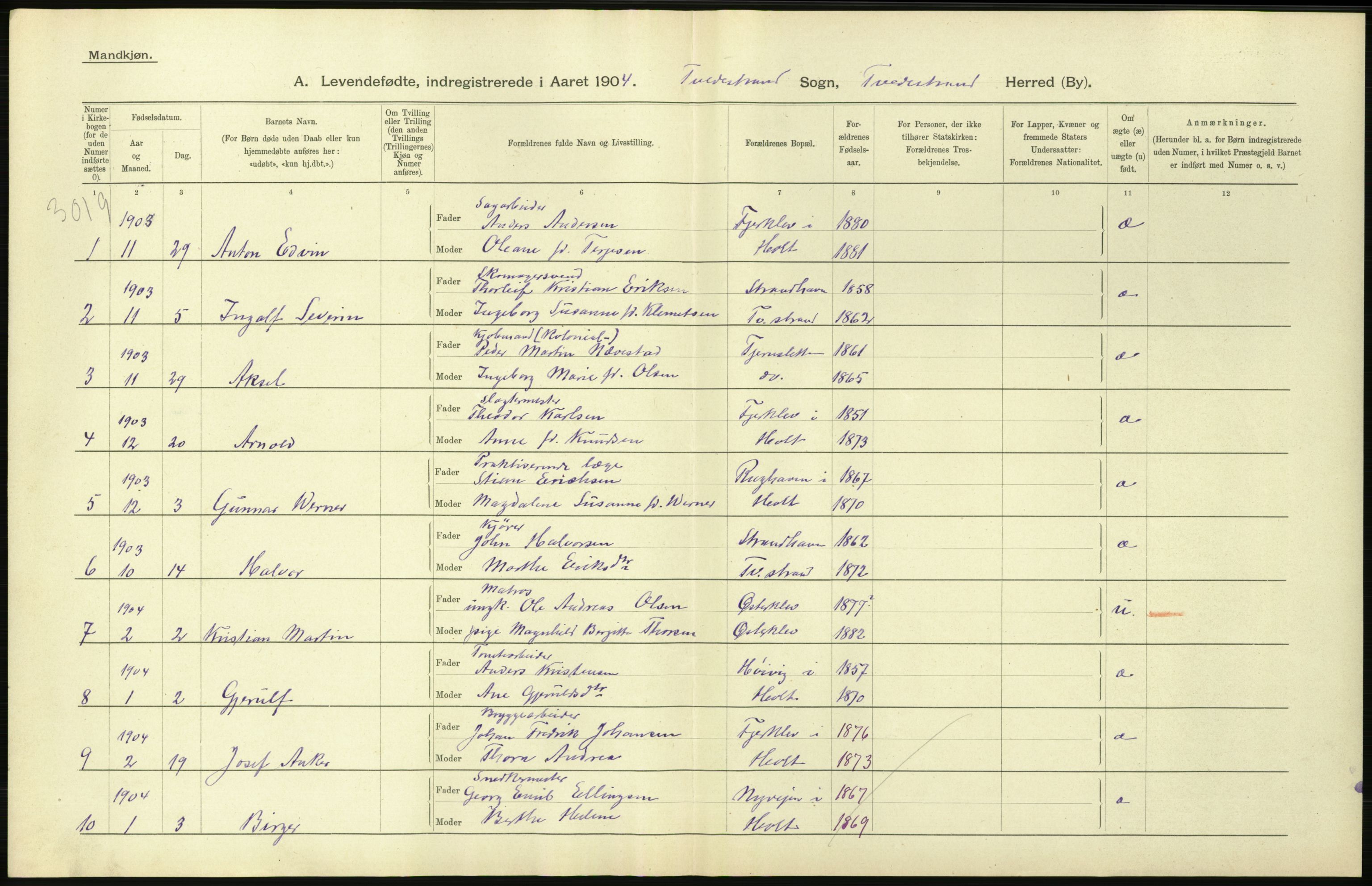 Statistisk sentralbyrå, Sosiodemografiske emner, Befolkning, AV/RA-S-2228/D/Df/Dfa/Dfab/L0010: Nedenes amt: Fødte, gifte, døde, 1904, p. 318