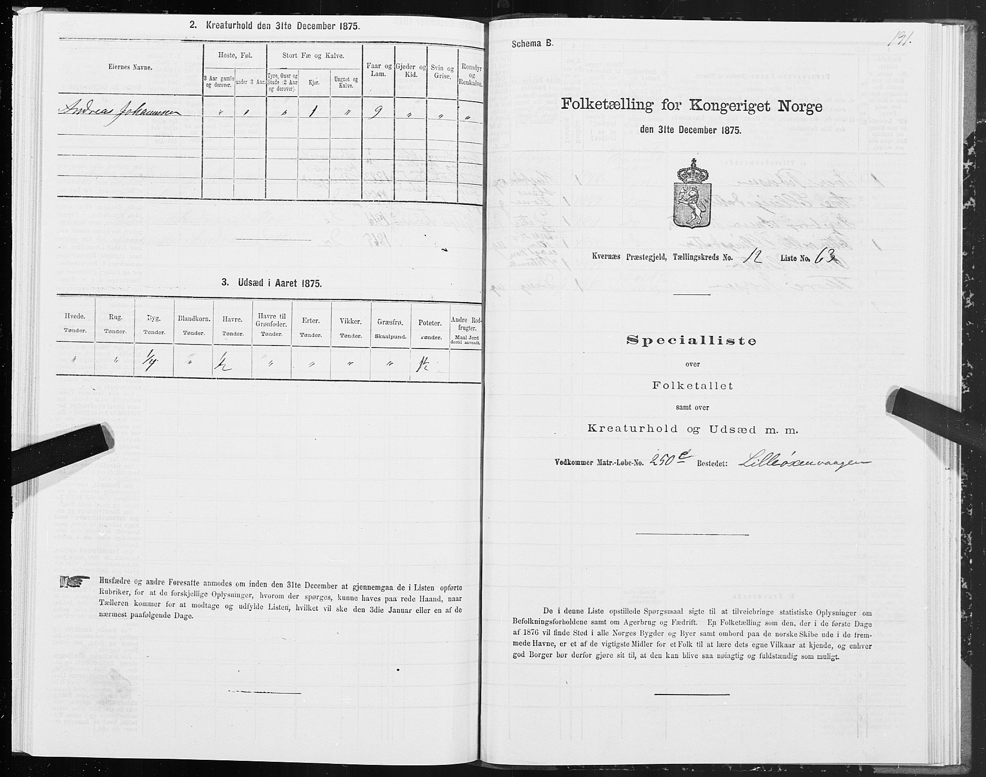 SAT, 1875 census for 1553P Kvernes, 1875, p. 6191