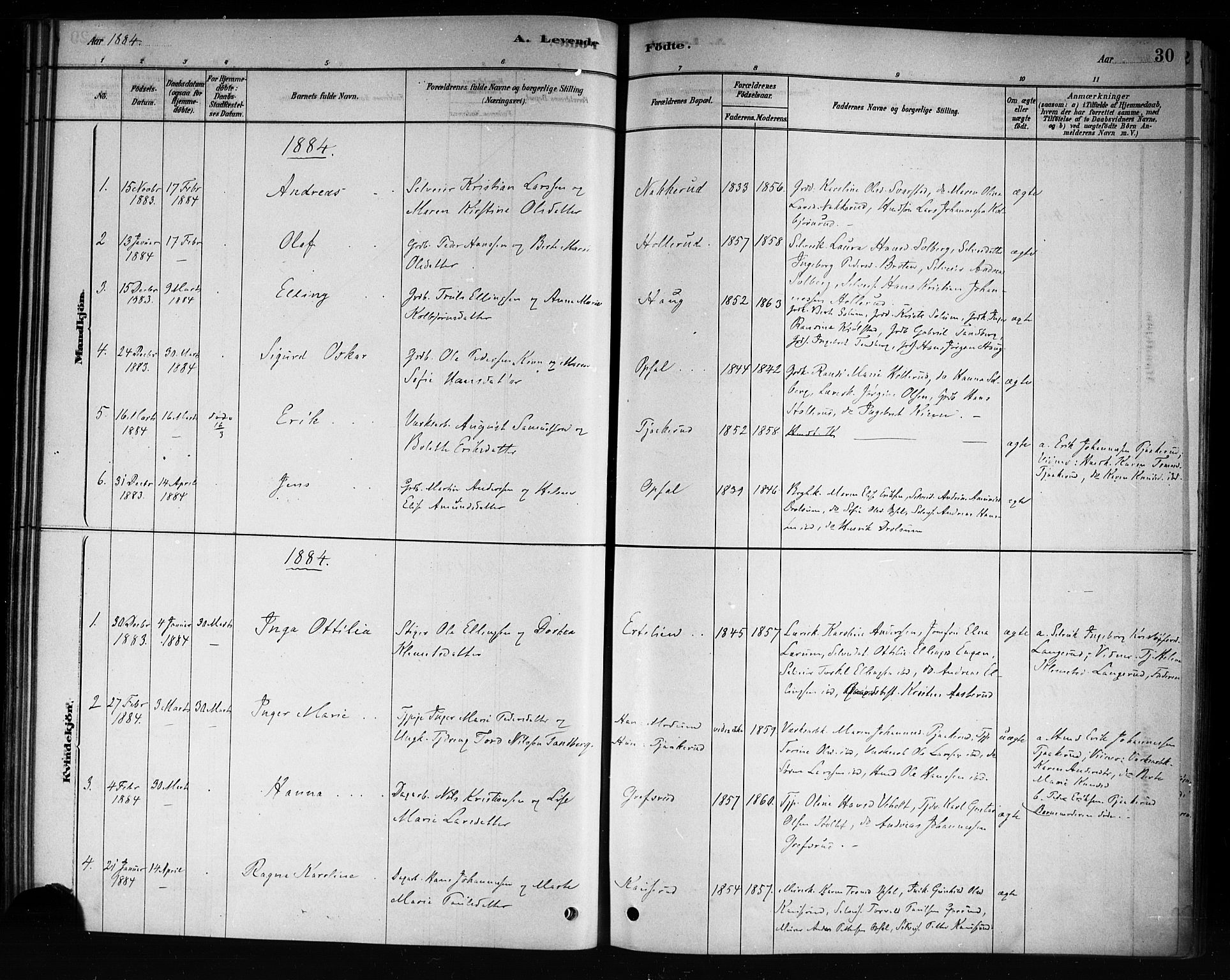 Hole kirkebøker, AV/SAKO-A-228/F/Fb/L0001: Parish register (official) no. II 1, 1878-1891, p. 30