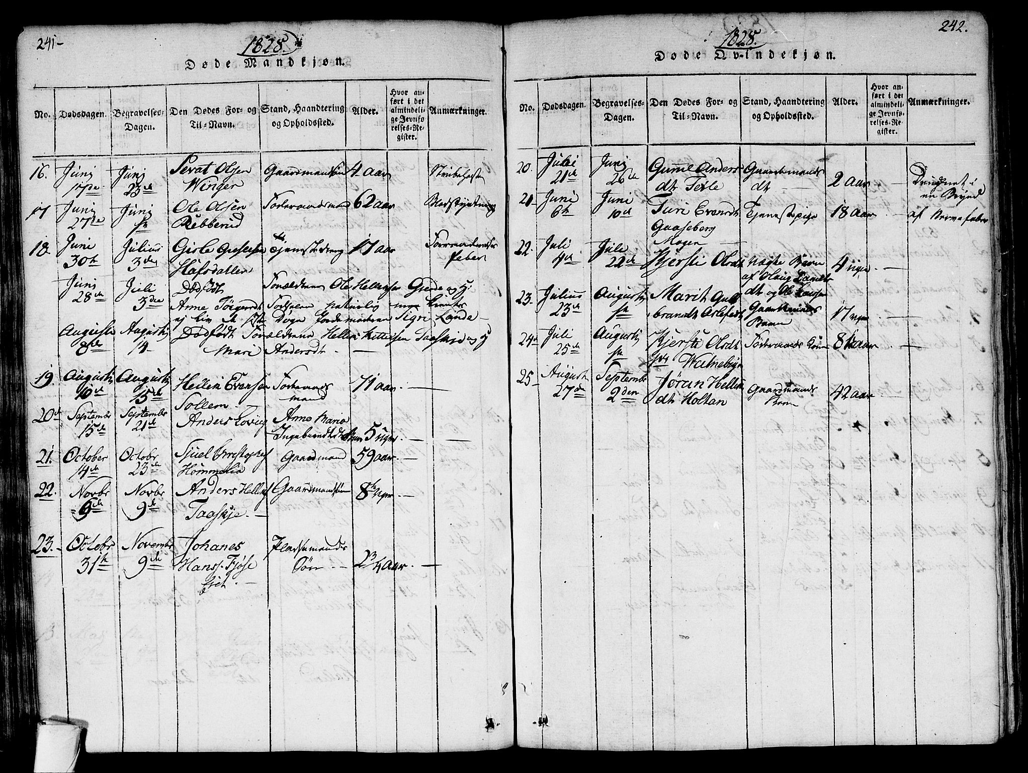 Flesberg kirkebøker, AV/SAKO-A-18/G/Ga/L0001: Parish register (copy) no. I 1, 1816-1834, p. 241-242