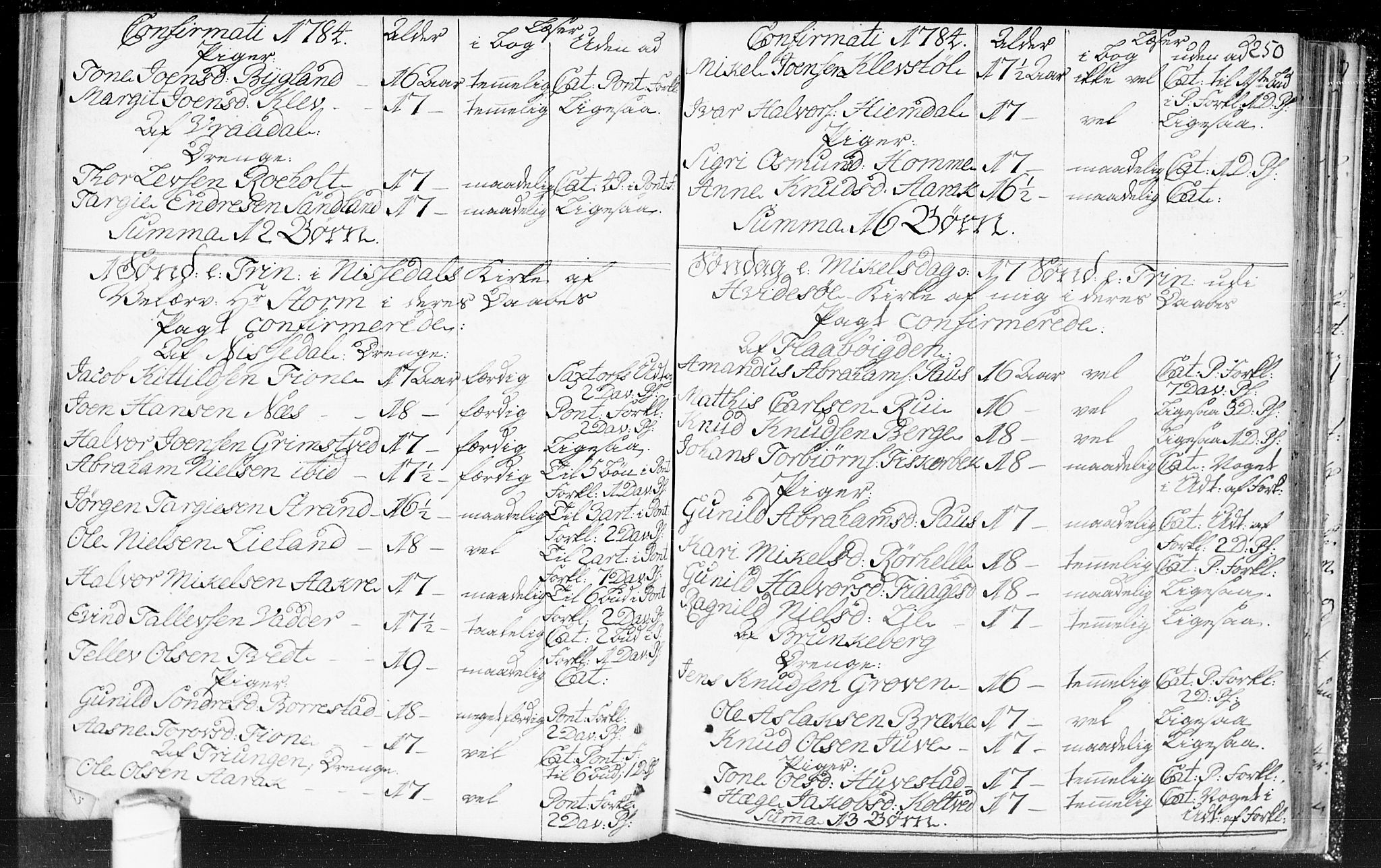 Kviteseid kirkebøker, SAKO/A-276/F/Fa/L0002: Parish register (official) no. I 2, 1773-1786, p. 250