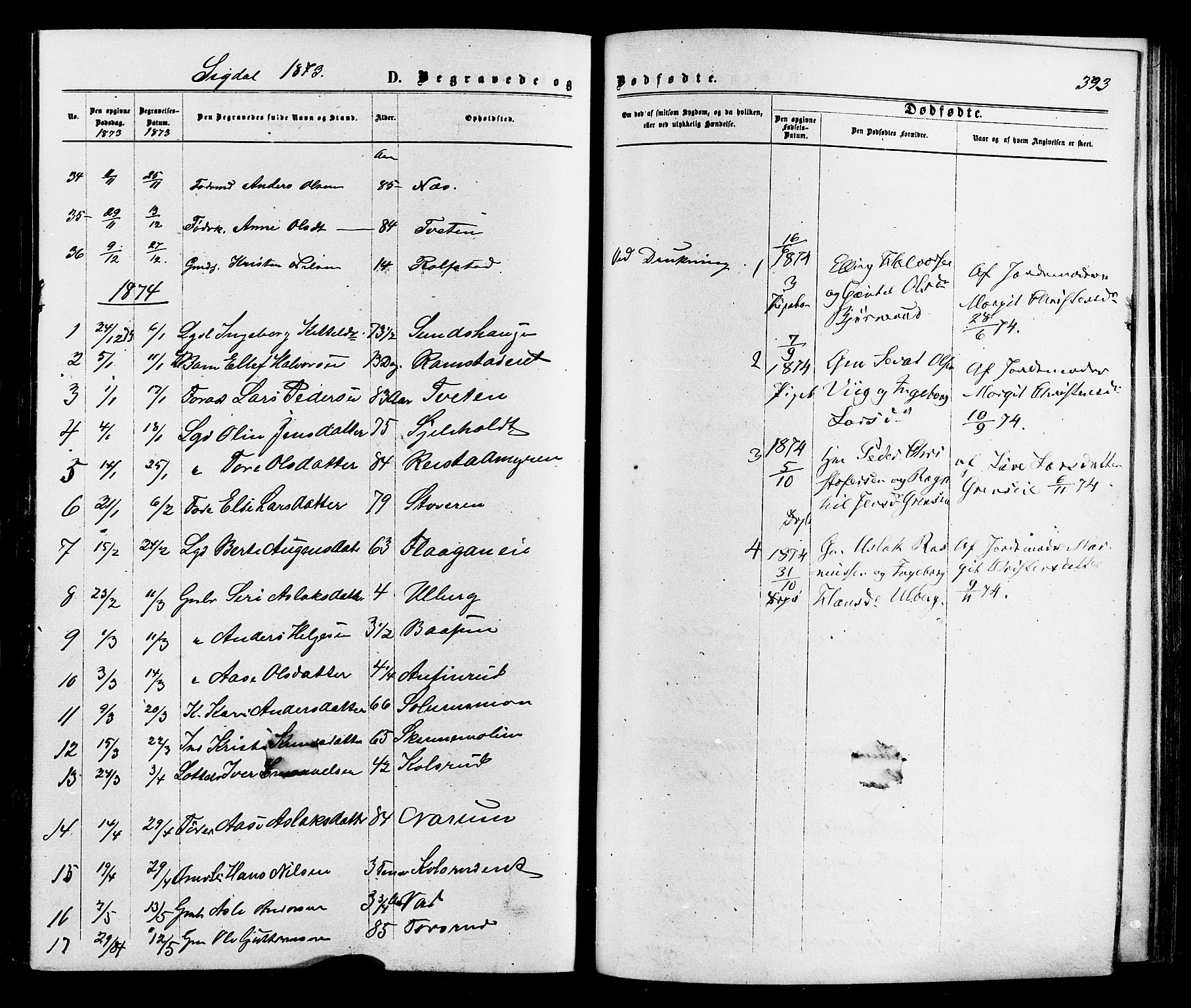 Sigdal kirkebøker, AV/SAKO-A-245/F/Fa/L0010: Parish register (official) no. I 10 /1, 1872-1878, p. 393