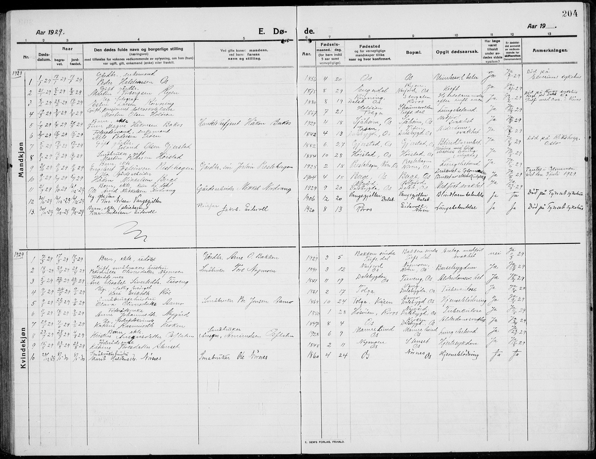 Tolga prestekontor, AV/SAH-PREST-062/L/L0014: Parish register (copy) no. 14, 1913-1936, p. 204