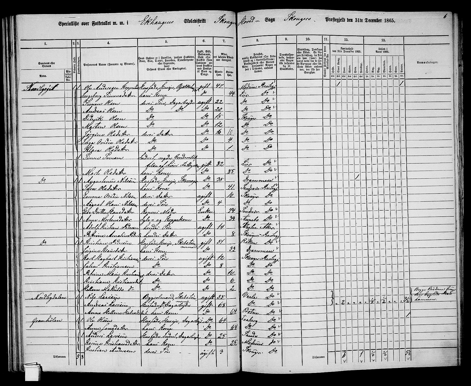 RA, 1865 census for Skoger, 1865, p. 44