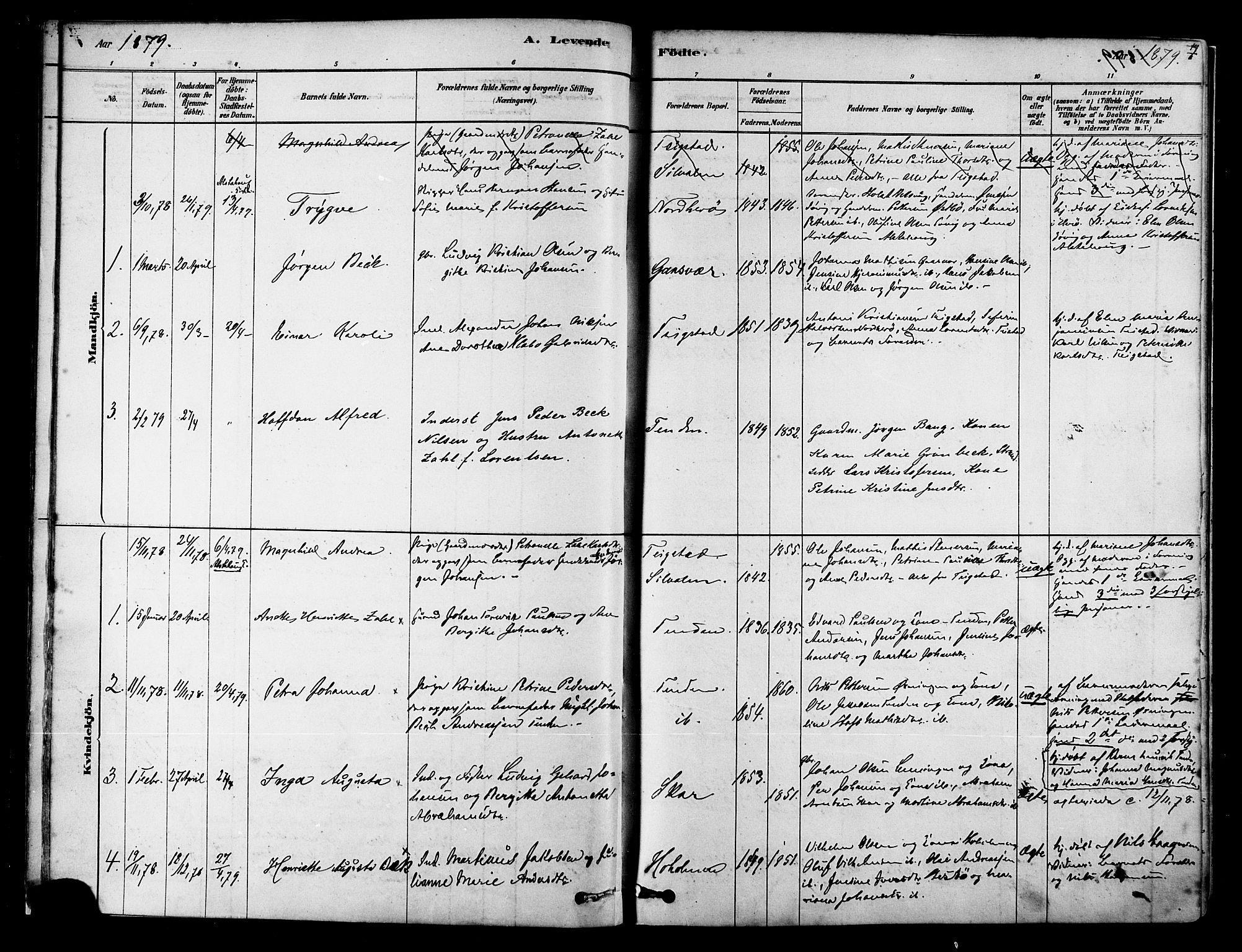Ministerialprotokoller, klokkerbøker og fødselsregistre - Nordland, SAT/A-1459/834/L0507: Parish register (official) no. 834A05, 1878-1892, p. 17