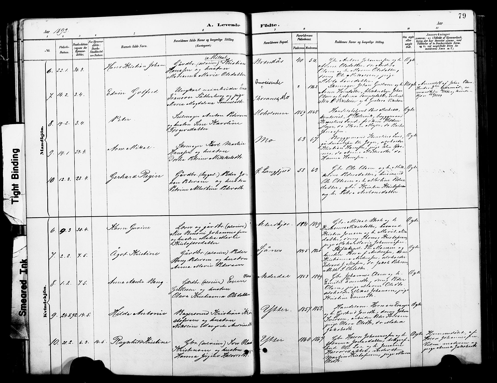 Ministerialprotokoller, klokkerbøker og fødselsregistre - Nordland, AV/SAT-A-1459/827/L0421: Parish register (copy) no. 827C10, 1887-1906, p. 79