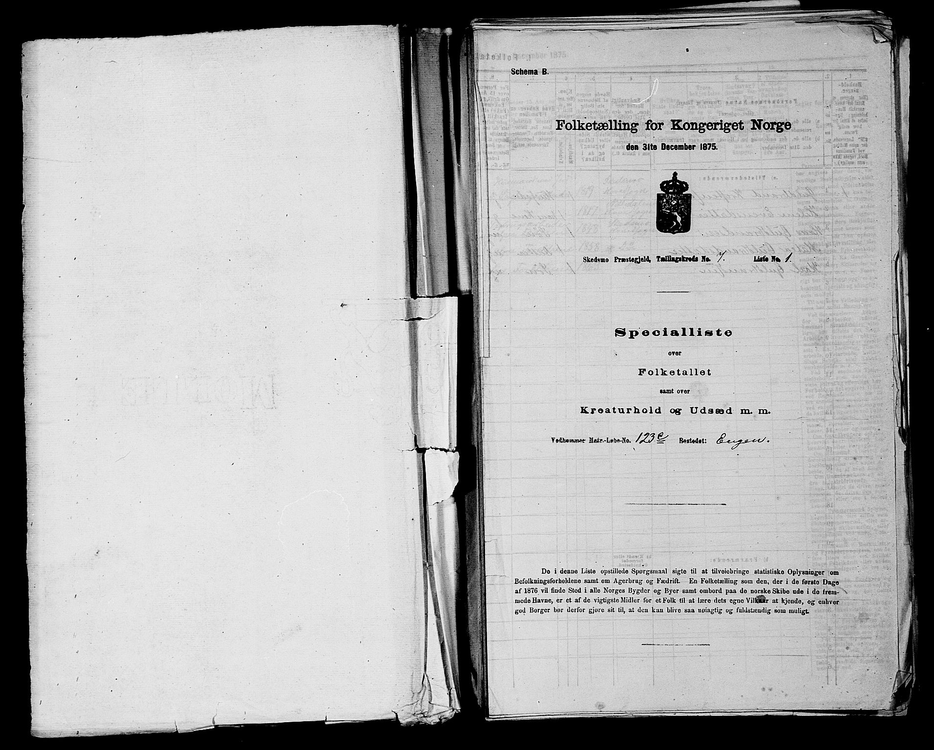 RA, 1875 census for 0231P Skedsmo, 1875, p. 955