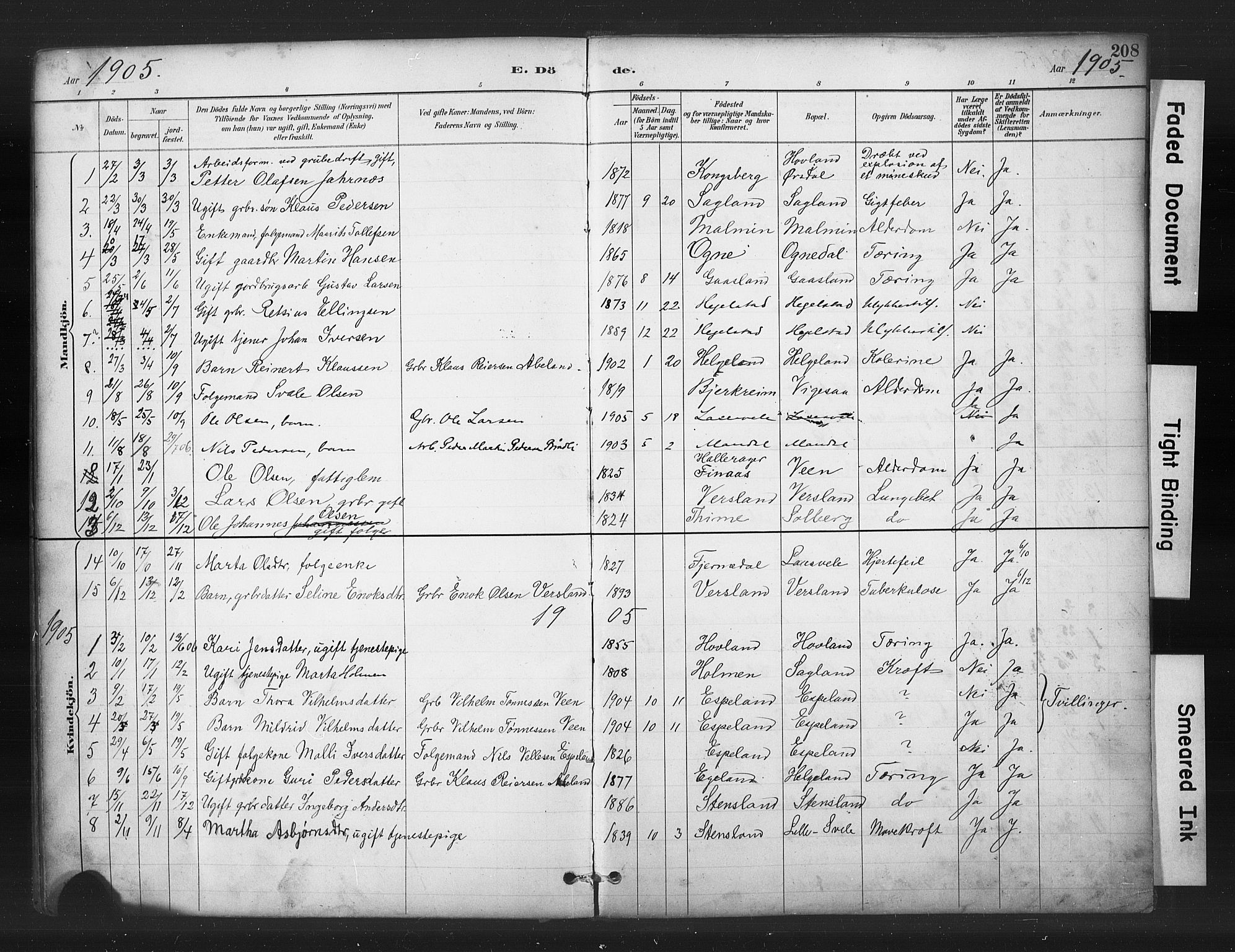 Helleland sokneprestkontor, SAST/A-101810: Parish register (copy) no. B 5, 1887-1908, p. 208