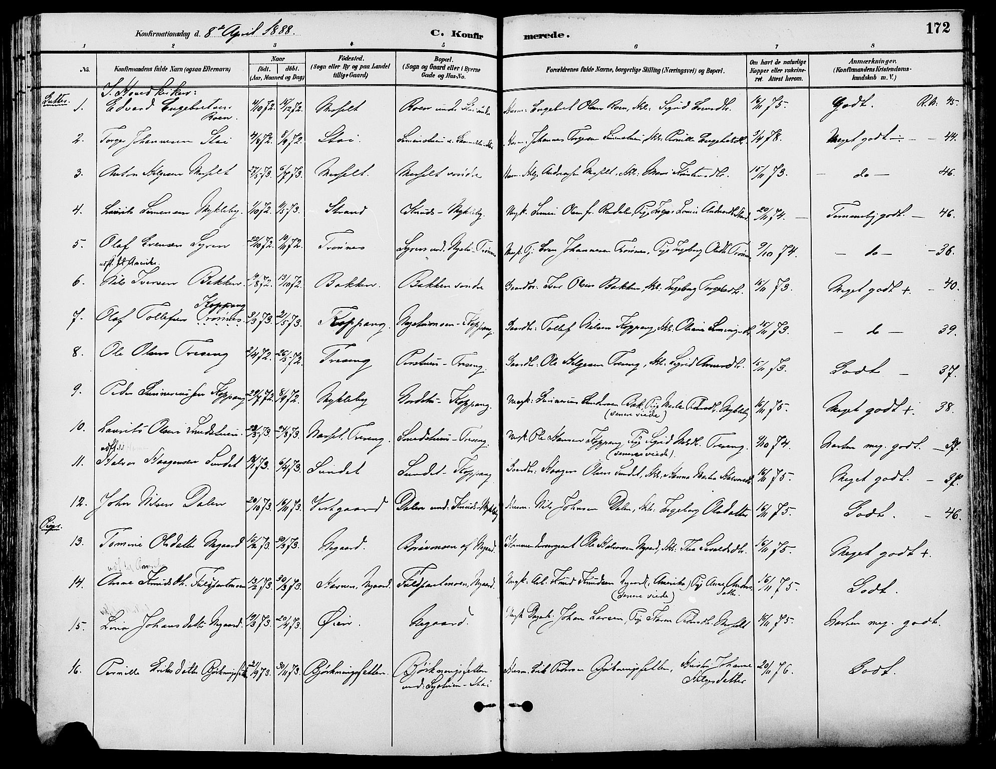 Stor-Elvdal prestekontor, SAH/PREST-052/H/Ha/Haa/L0002: Parish register (official) no. 2, 1882-1907, p. 172