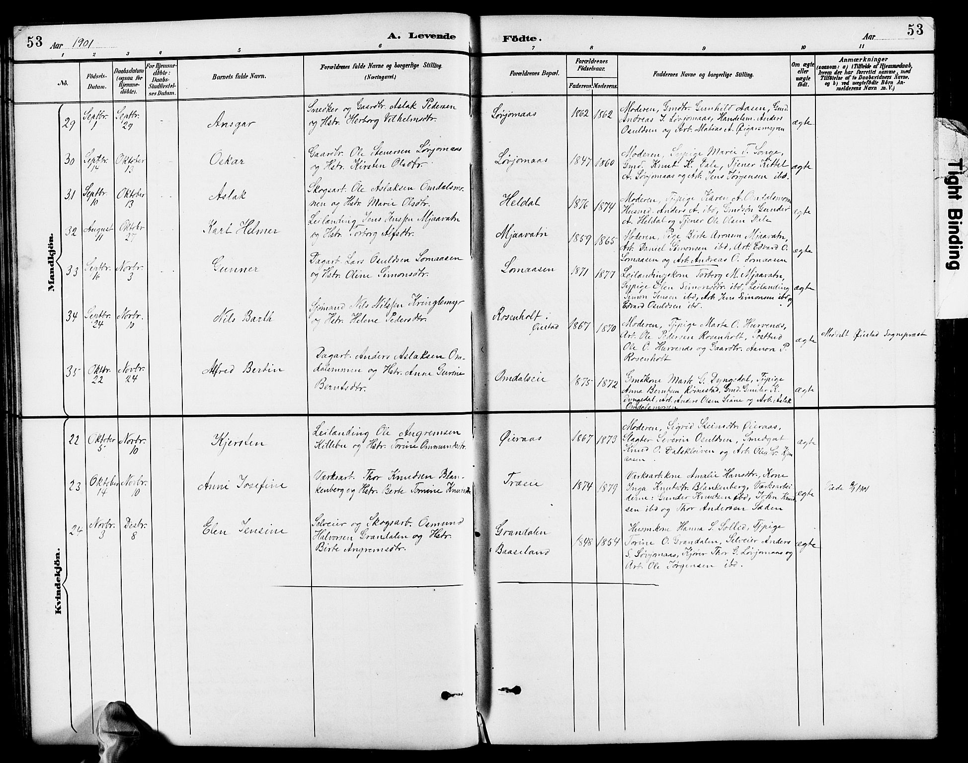 Froland sokneprestkontor, AV/SAK-1111-0013/F/Fb/L0010: Parish register (copy) no. B 10, 1893-1920, p. 53