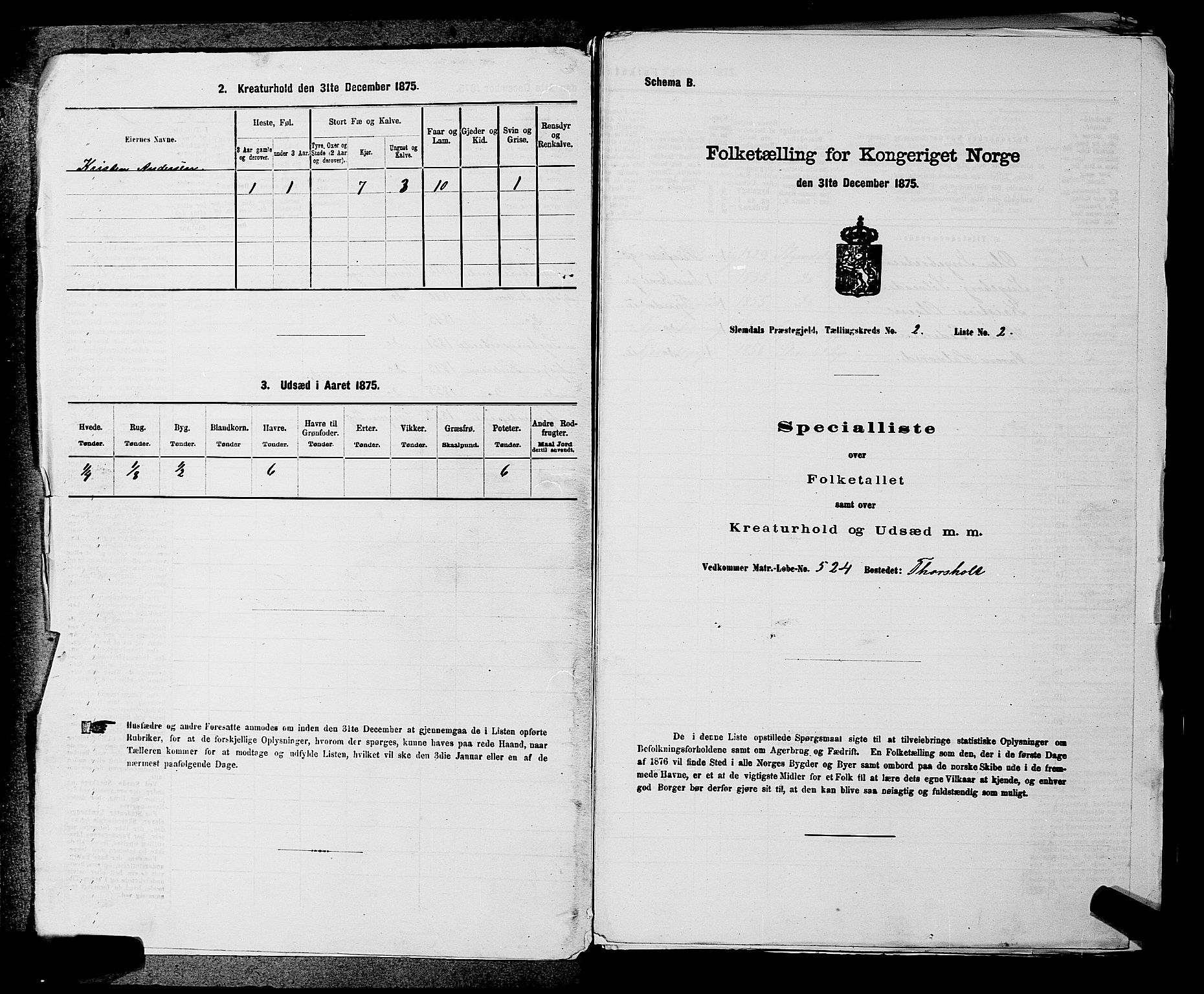 SAKO, 1875 census for 0811P Slemdal, 1875, p. 244