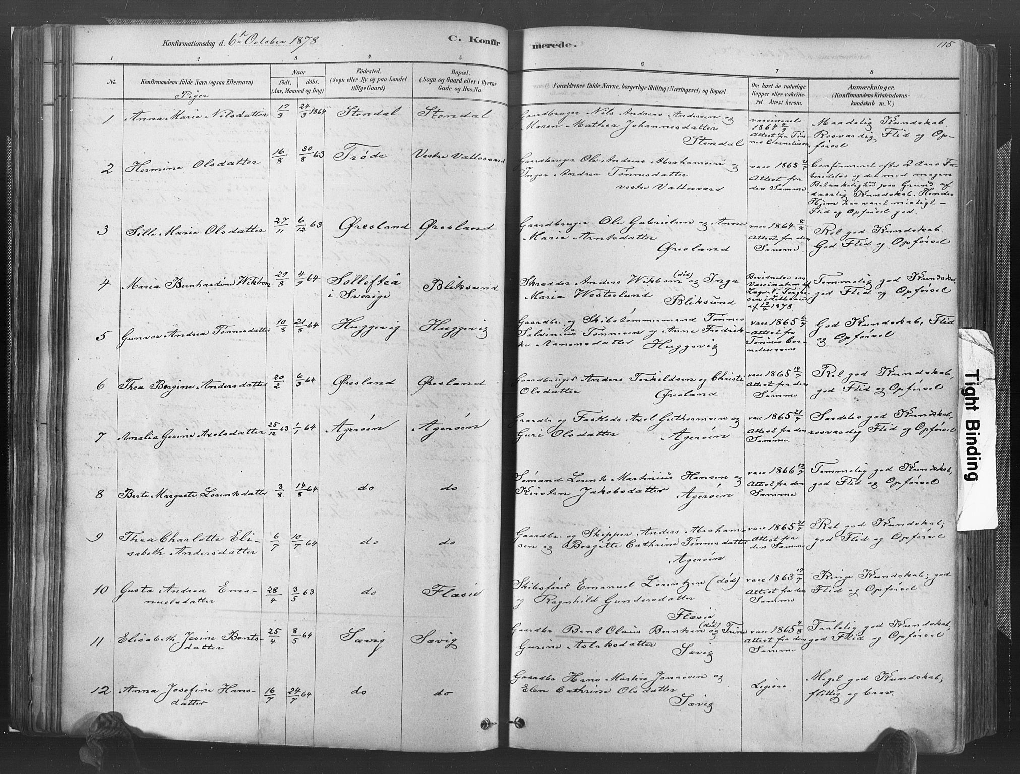 Høvåg sokneprestkontor, AV/SAK-1111-0025/F/Fa/L0005: Parish register (official) no. A 5, 1878-1893, p. 115