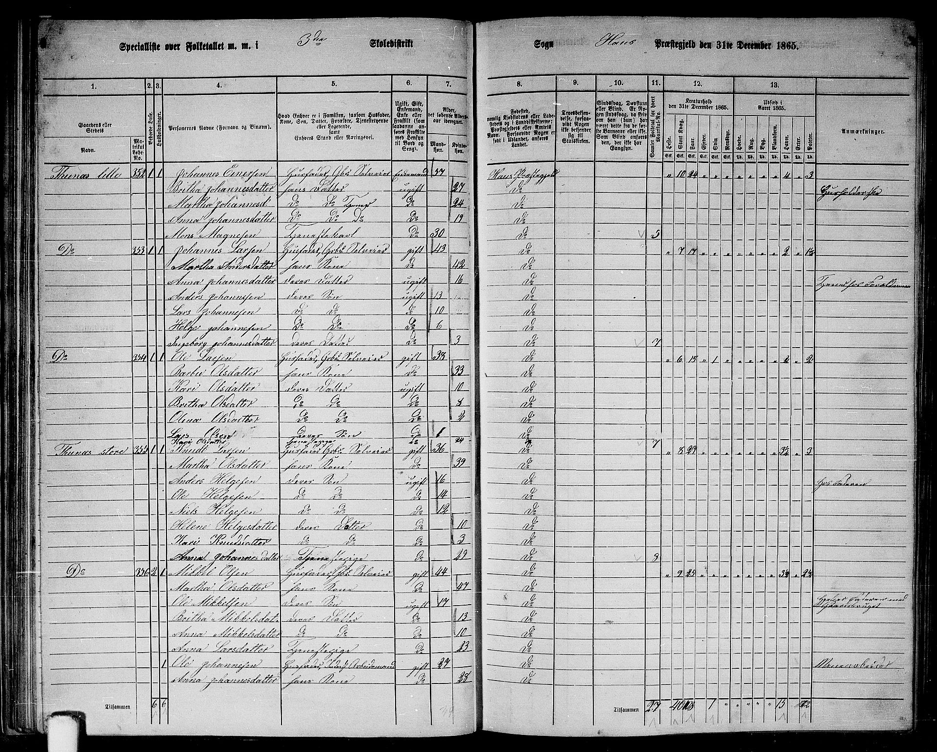 RA, 1865 census for Haus, 1865, p. 58