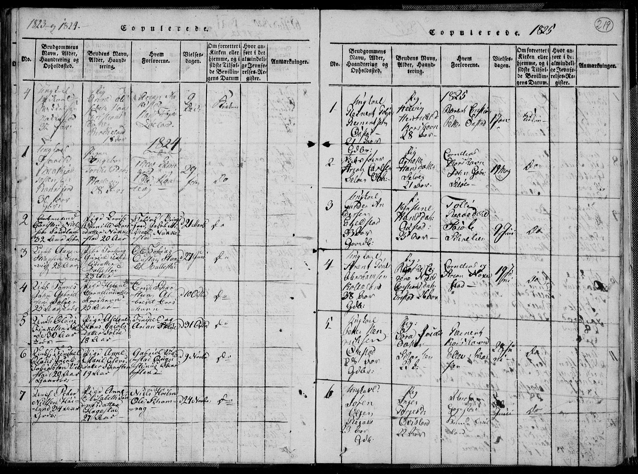 Lyngdal sokneprestkontor, AV/SAK-1111-0029/F/Fa/Fac/L0006: Parish register (official) no. A 6, 1815-1825, p. 219