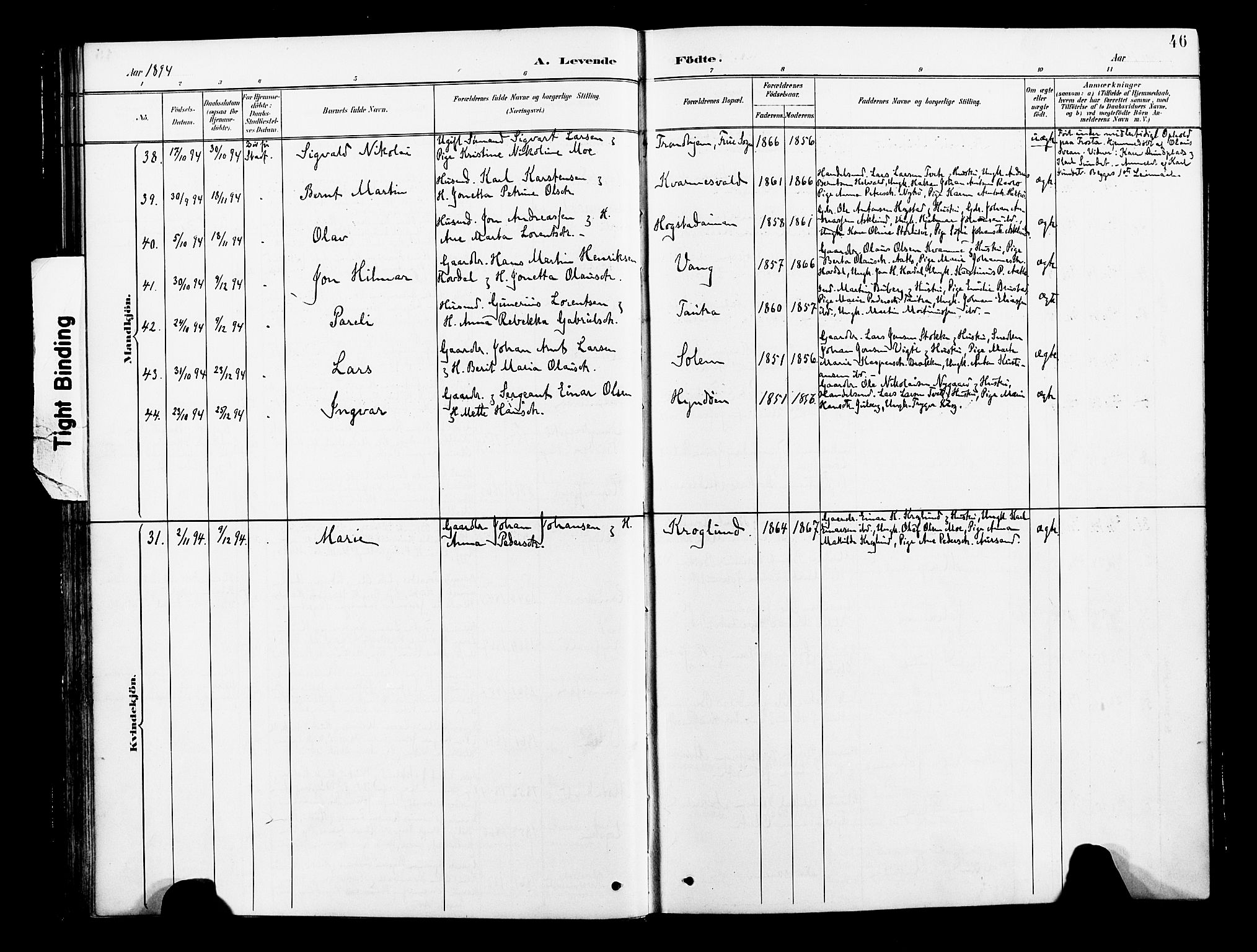 Ministerialprotokoller, klokkerbøker og fødselsregistre - Nord-Trøndelag, AV/SAT-A-1458/713/L0121: Parish register (official) no. 713A10, 1888-1898, p. 46