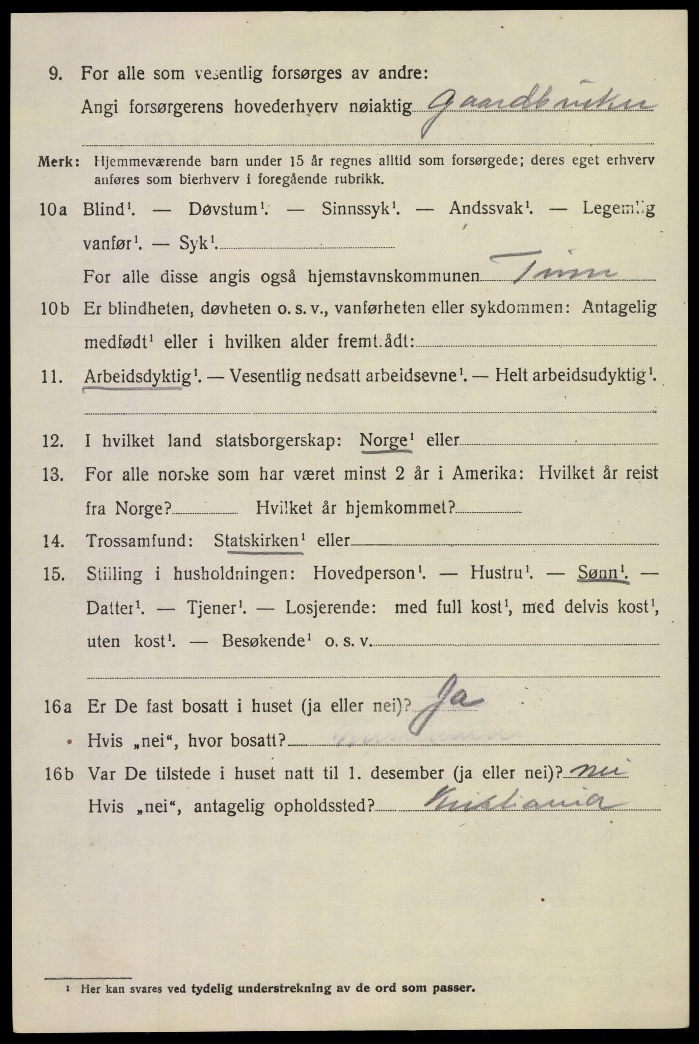 SAKO, 1920 census for Tinn, 1920, p. 6953