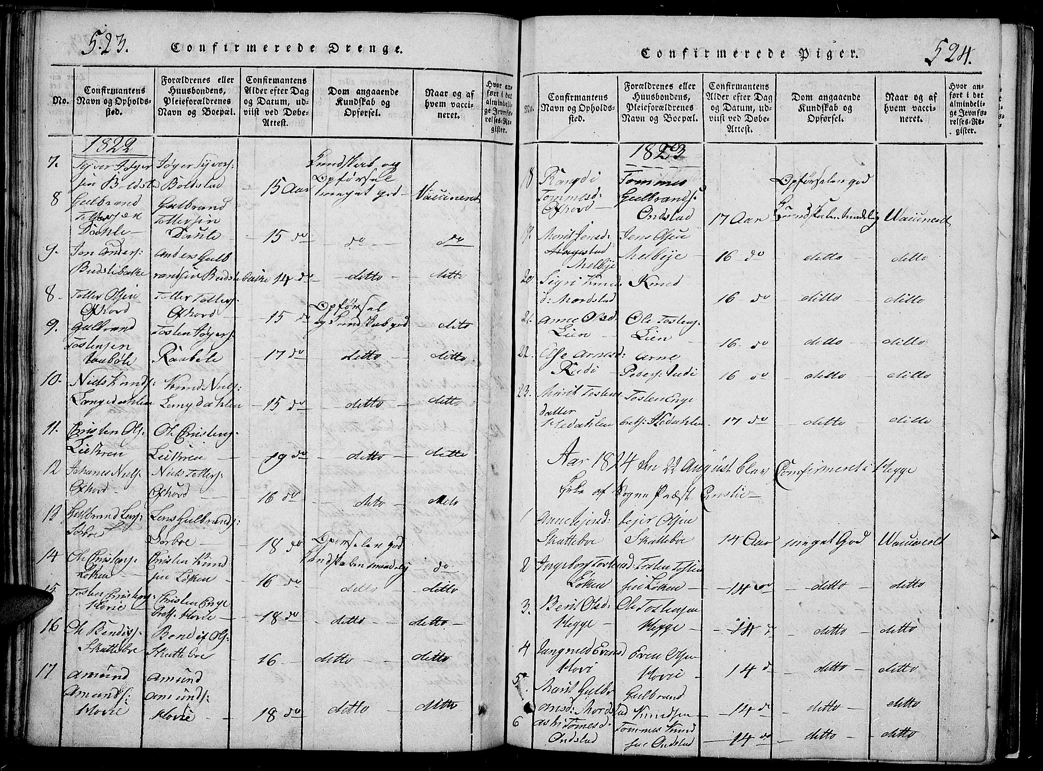 Slidre prestekontor, SAH/PREST-134/H/Ha/Hab/L0002: Parish register (copy) no. 2, 1814-1839, p. 523-524
