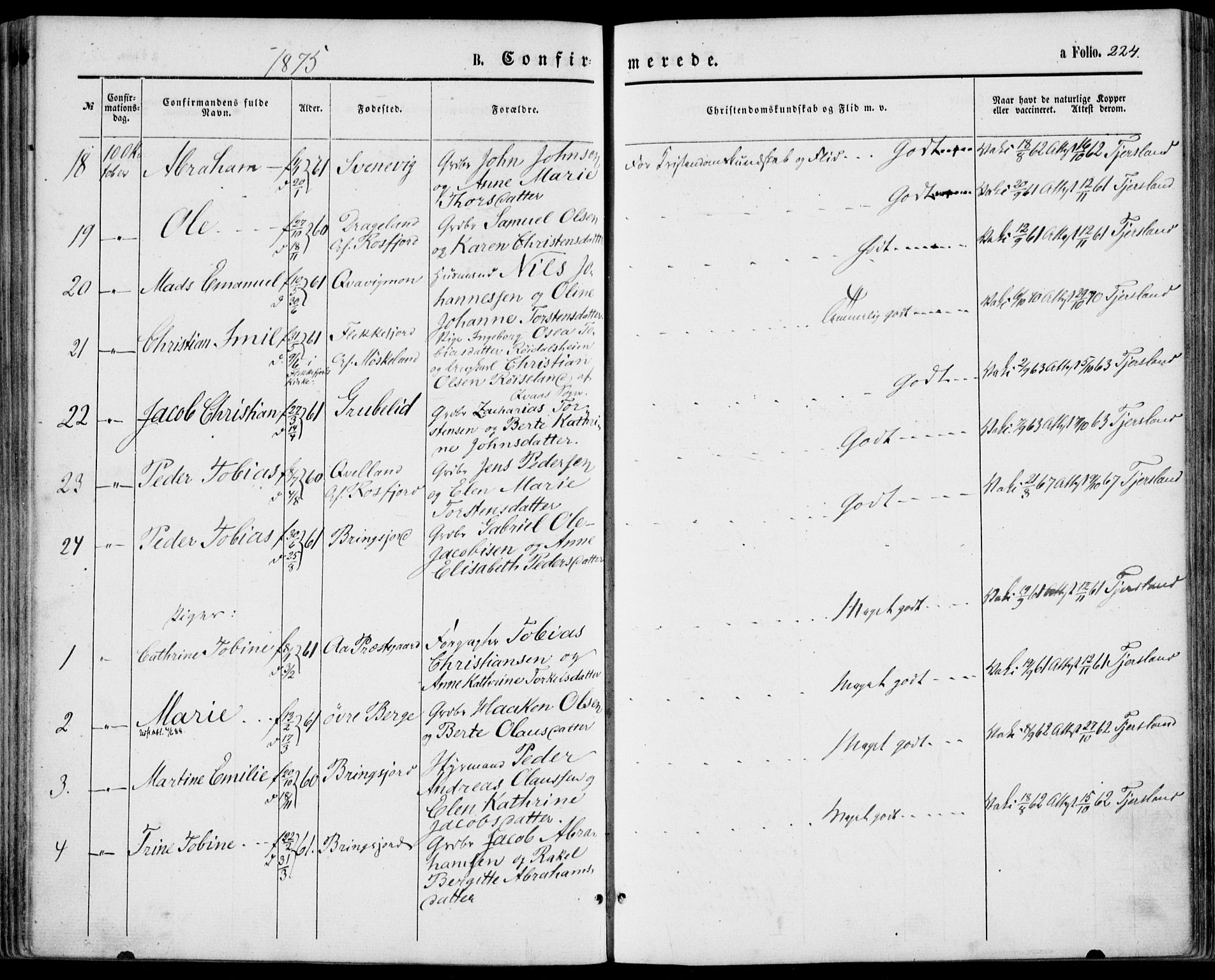 Lyngdal sokneprestkontor, AV/SAK-1111-0029/F/Fa/Fac/L0010: Parish register (official) no. A 10, 1865-1878, p. 224