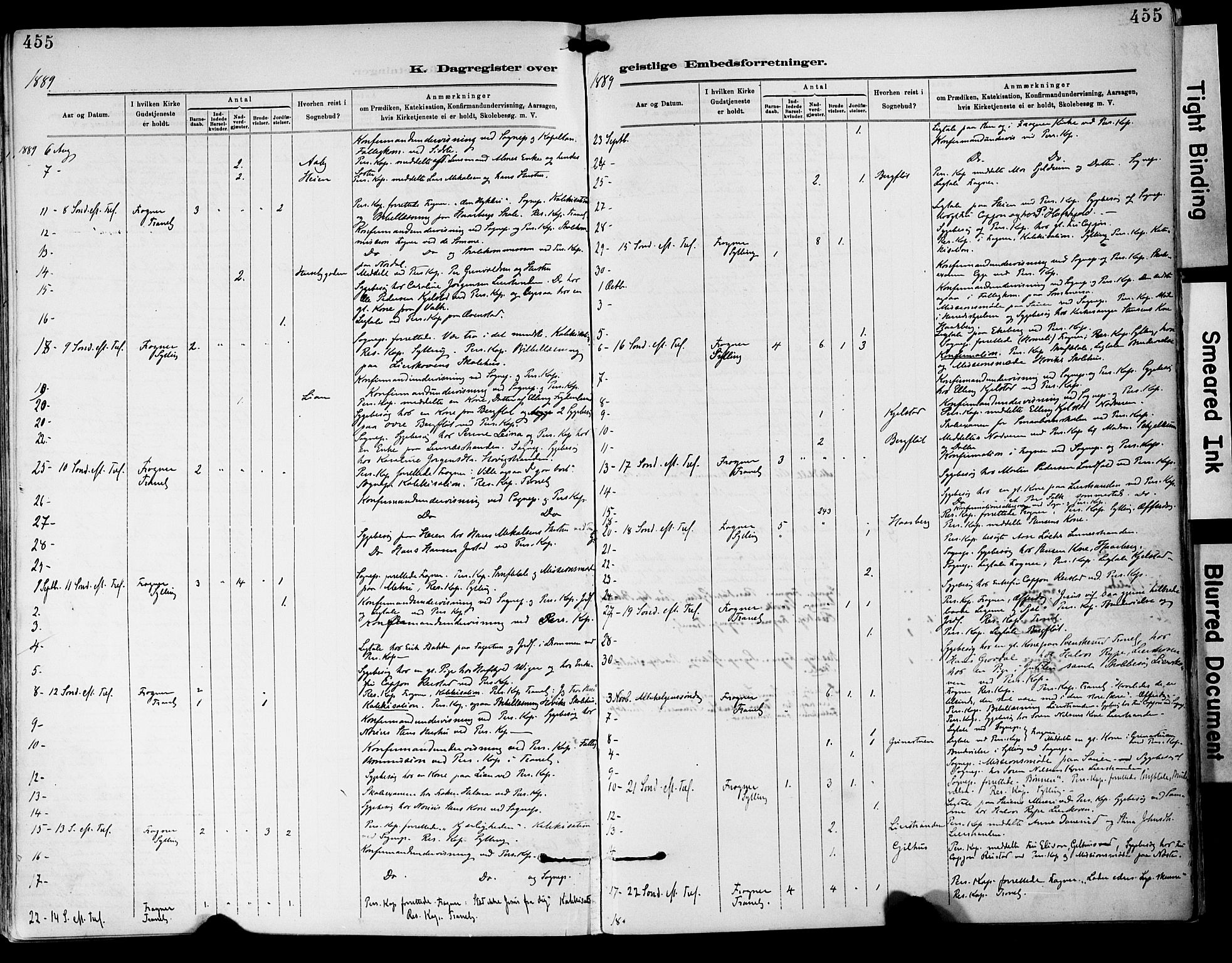 Lier kirkebøker, SAKO/A-230/F/Fa/L0015: Parish register (official) no. I 15, 1883-1894, p. 455