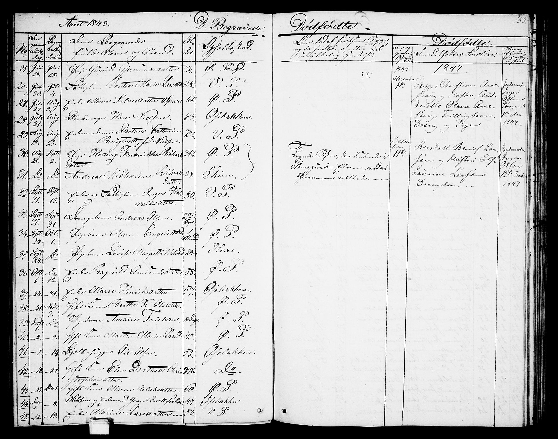 Porsgrunn kirkebøker , AV/SAKO-A-104/G/Gb/L0003: Parish register (copy) no. II 3, 1841-1852, p. 163