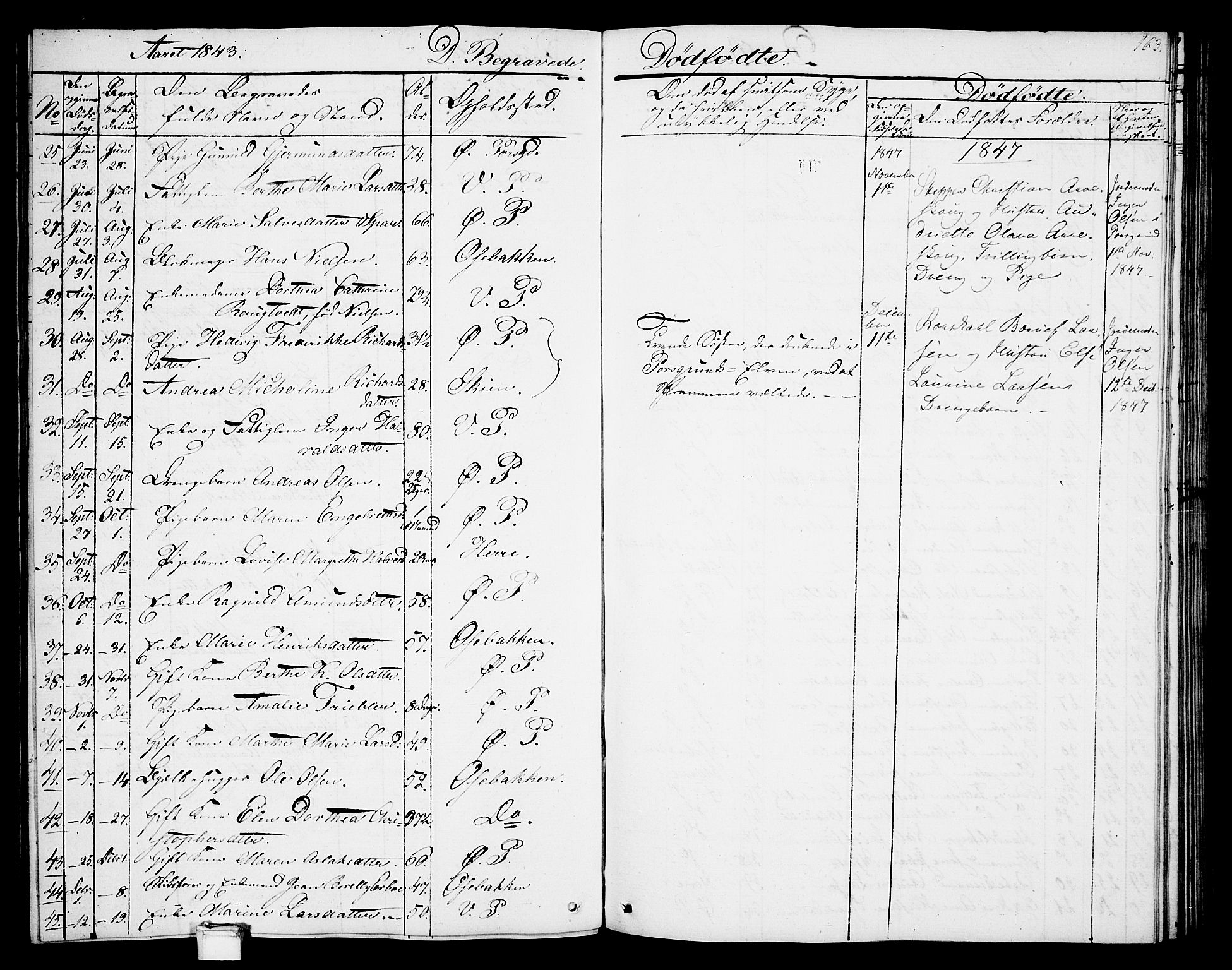 Porsgrunn kirkebøker , SAKO/A-104/G/Gb/L0003: Parish register (copy) no. II 3, 1841-1852, p. 163