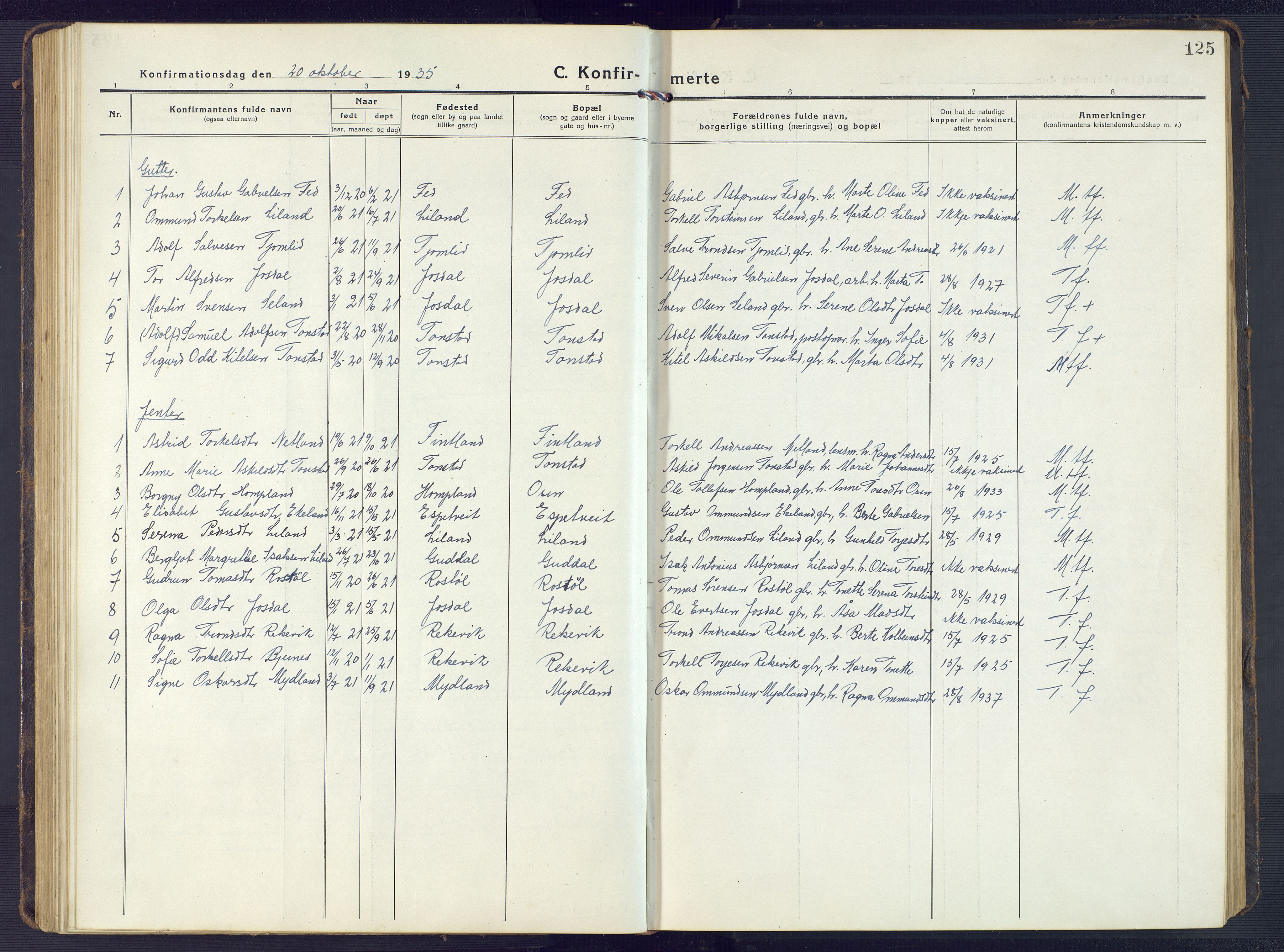 Sirdal sokneprestkontor, SAK/1111-0036/F/Fb/Fbb/L0005: Parish register (copy) no. B 5, 1916-1960, p. 125
