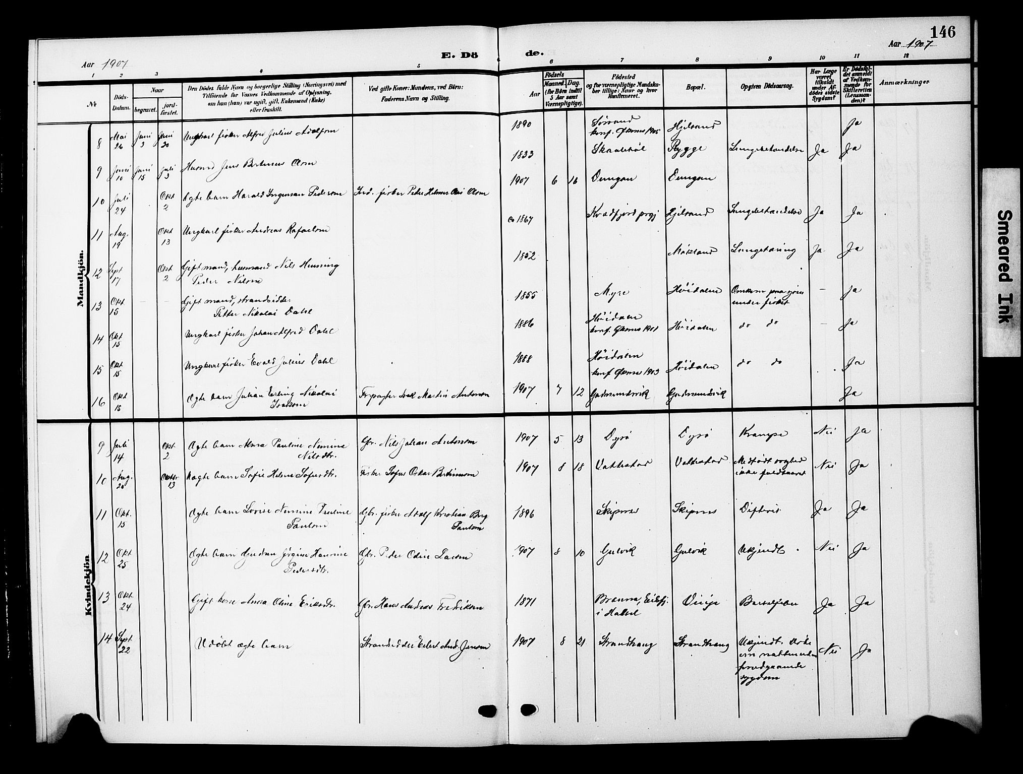 Ministerialprotokoller, klokkerbøker og fødselsregistre - Nordland, AV/SAT-A-1459/893/L1350: Parish register (copy) no. 893C05, 1906-1927, p. 146