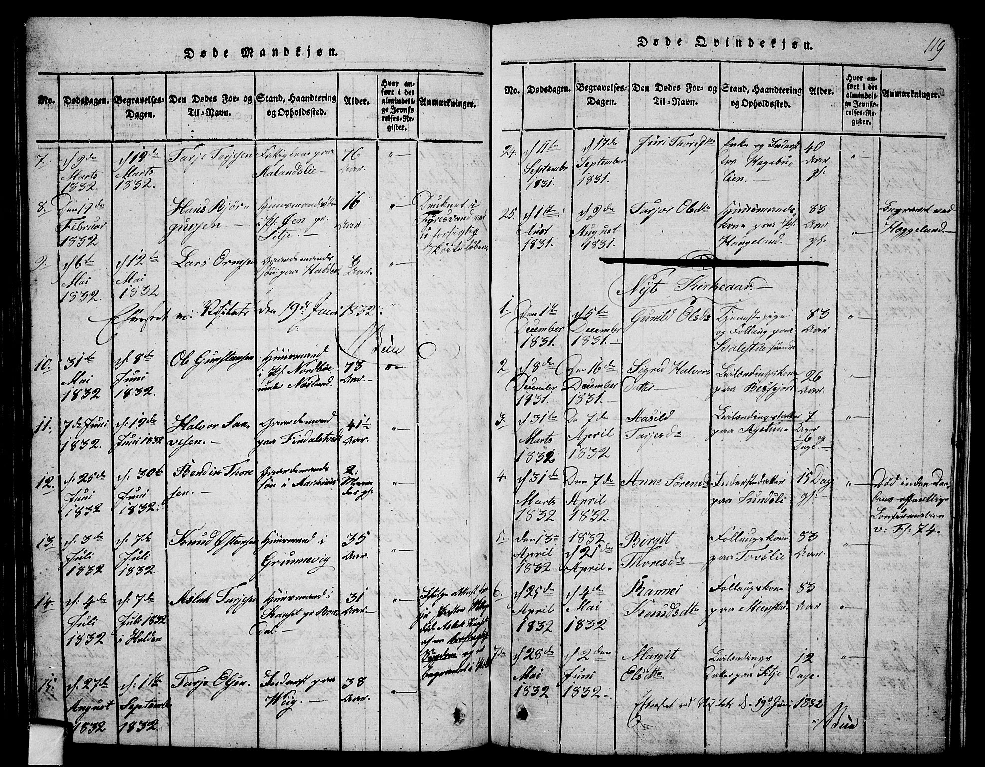 Fyresdal kirkebøker, SAKO/A-263/G/Ga/L0001: Parish register (copy) no. I 1, 1816-1840, p. 119