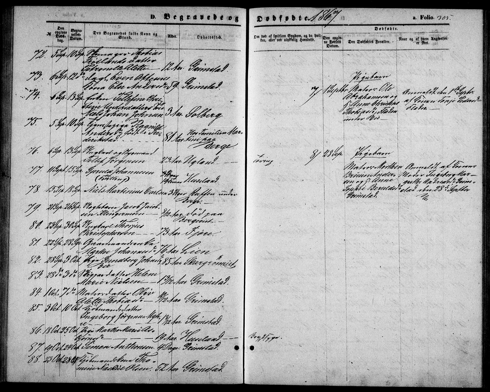 Fjære sokneprestkontor, SAK/1111-0011/F/Fb/L0009: Parish register (copy) no. B 9, 1867-1870, p. 305