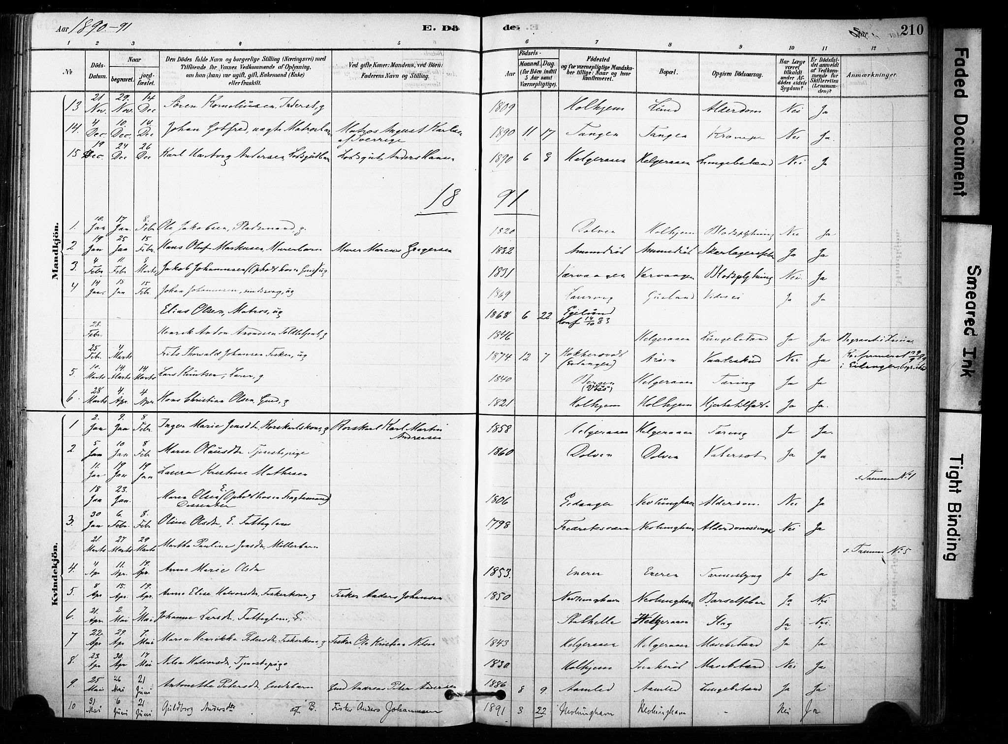 Brunlanes kirkebøker, AV/SAKO-A-342/F/Fb/L0001: Parish register (official) no. II 1, 1878-1899, p. 210