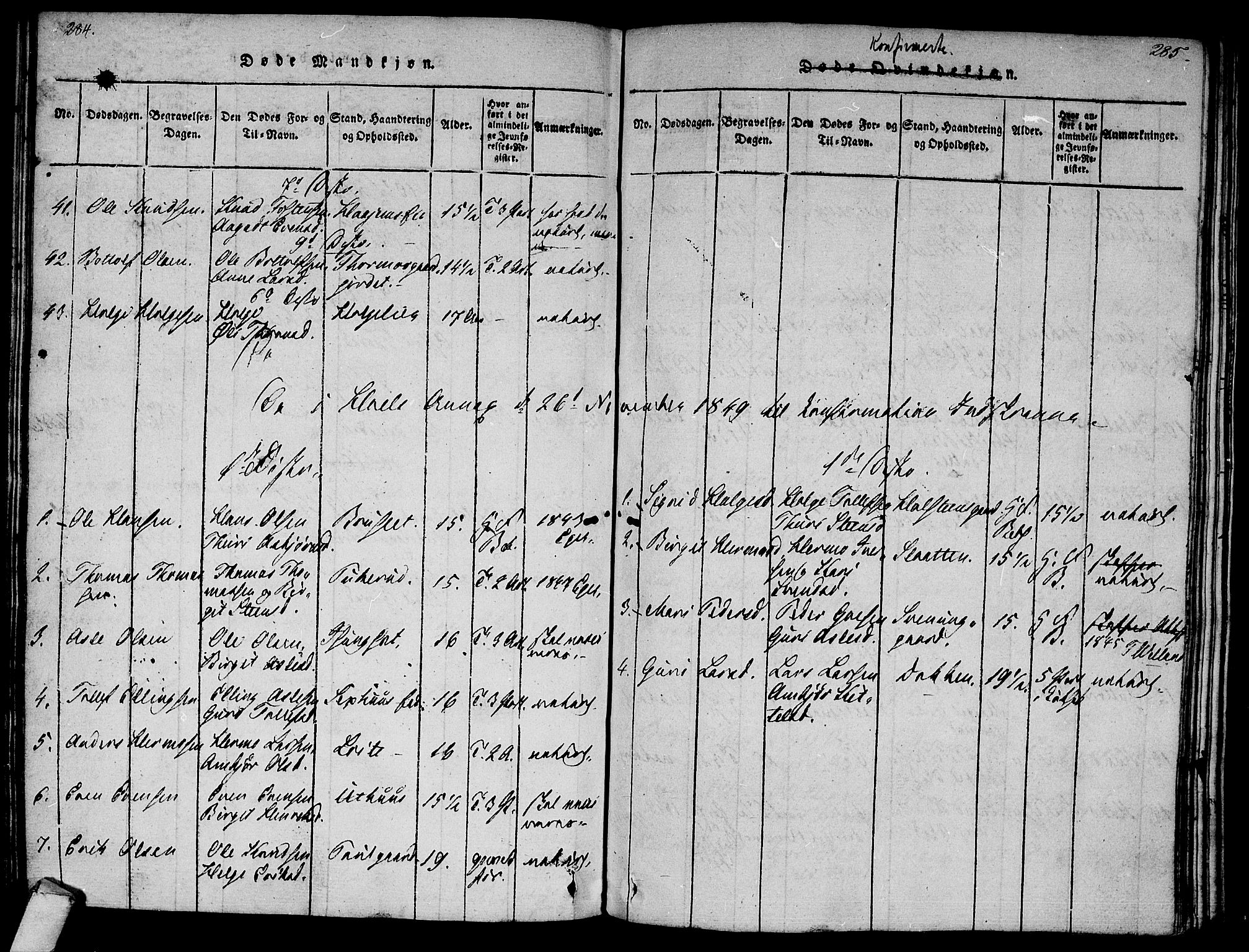 Ål kirkebøker, AV/SAKO-A-249/F/Fa/L0004: Parish register (official) no. I 4, 1815-1825, p. 284-285