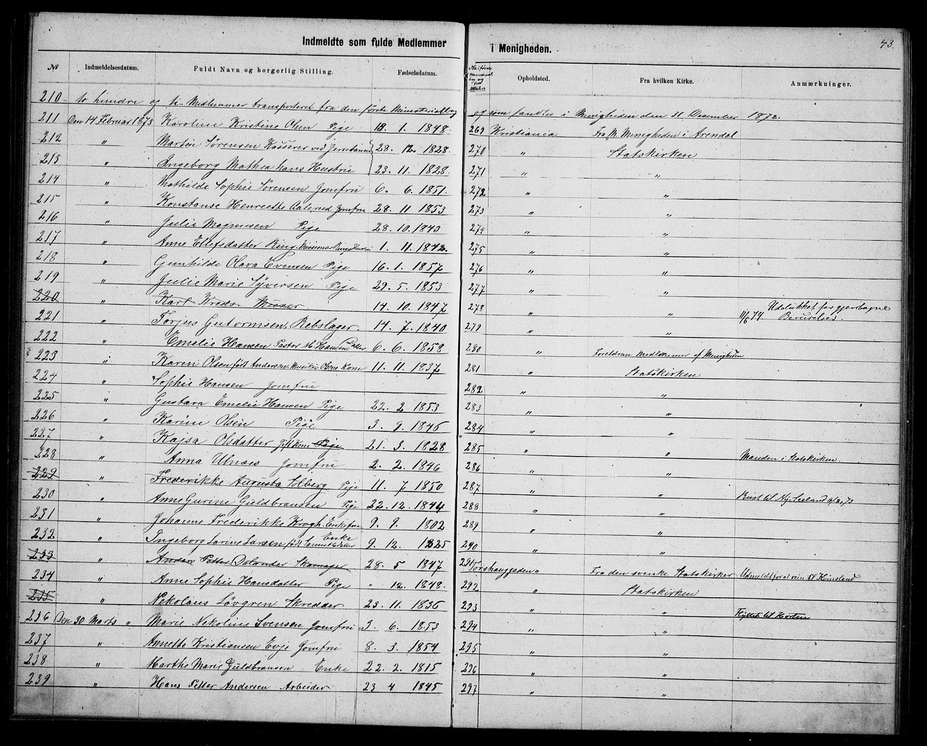 Første Metodistkirke Oslo -  menighetsprotokoller, AV/SAO-PAO-0067/F/L0003: Dissenter register no. 3, 1872-1877, p. 43