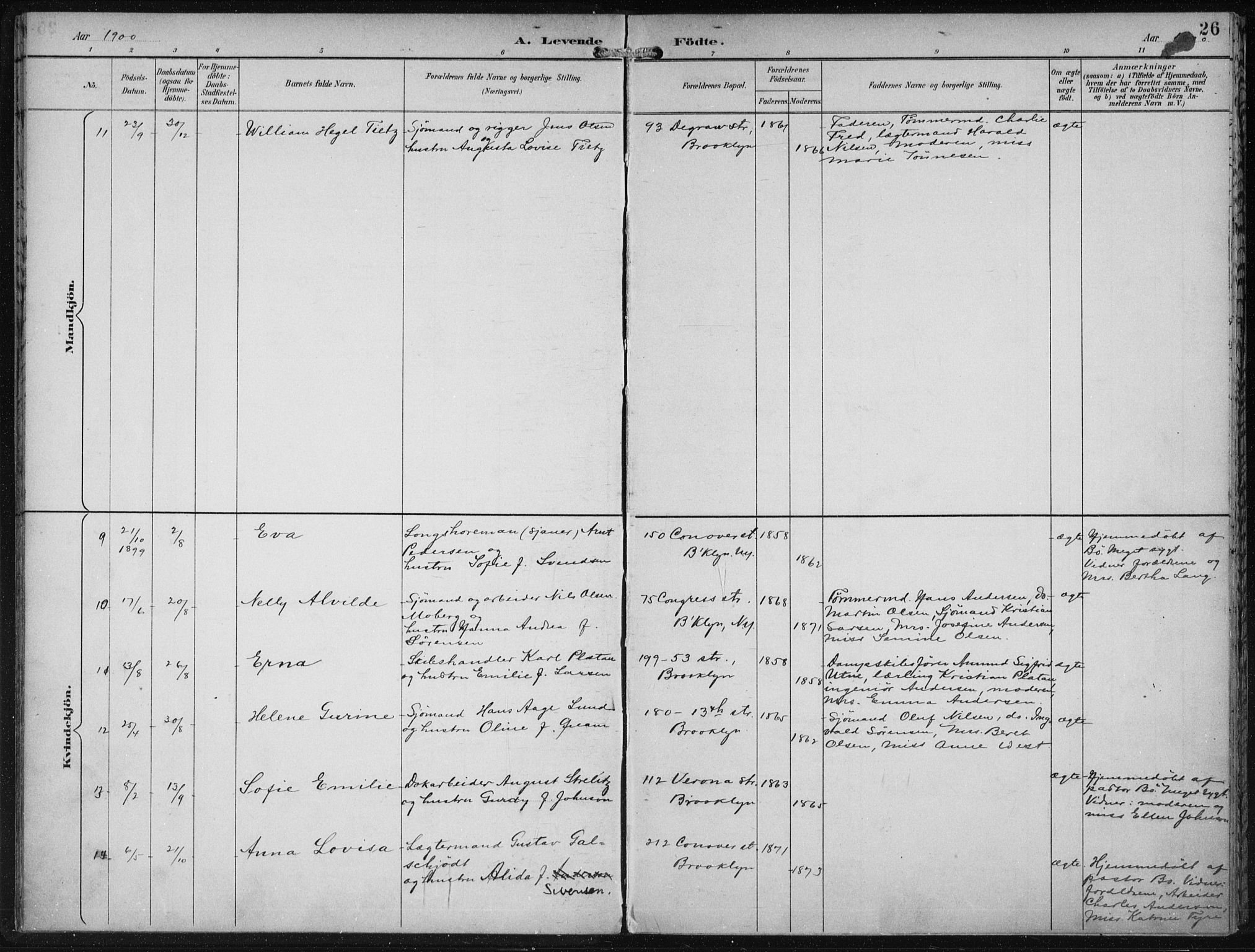 Den norske sjømannsmisjon i utlandet/New York, SAB/SAB/PA-0110/H/Ha/L0004: Parish register (official) no. A 4, 1893-1901, p. 26