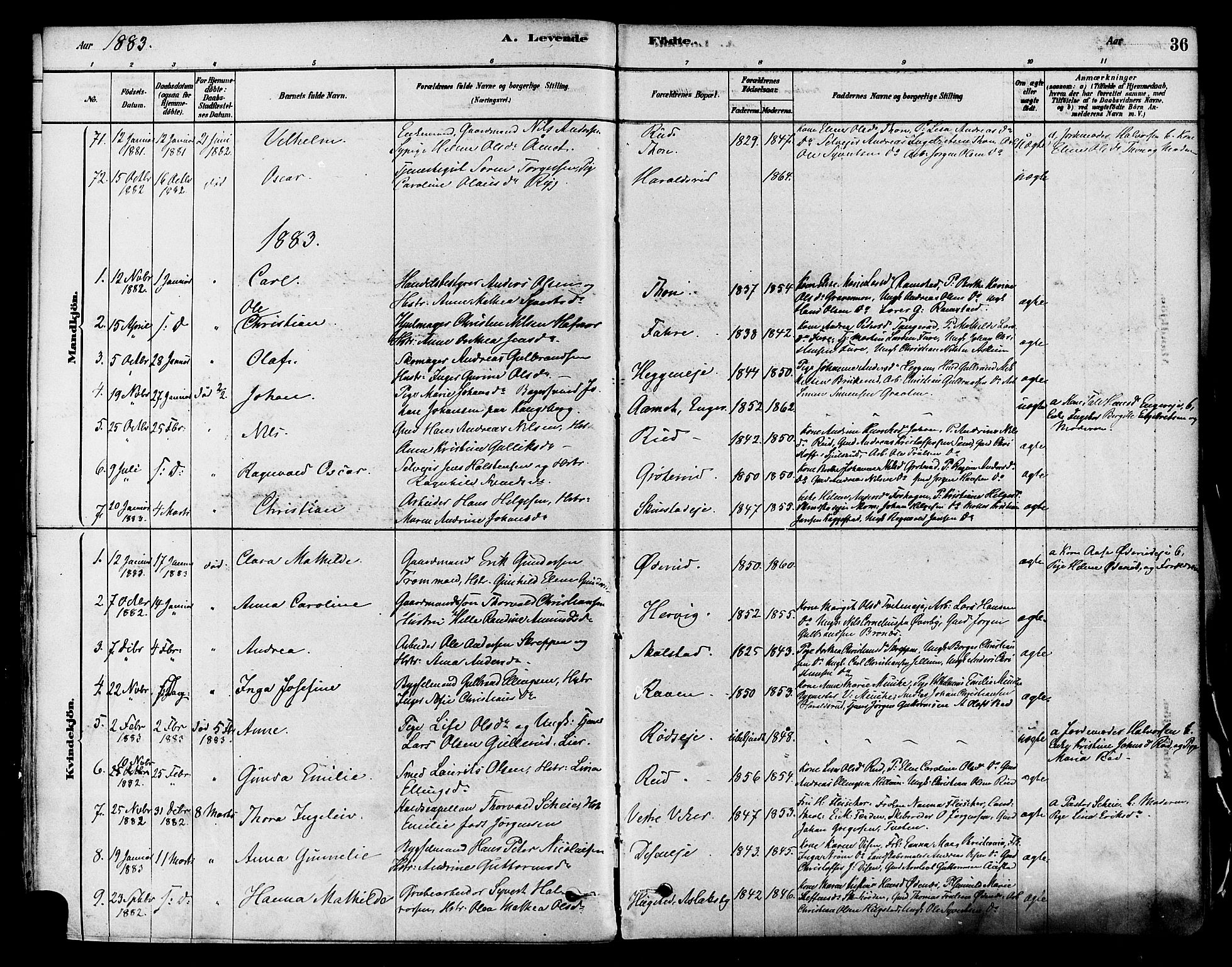 Modum kirkebøker, AV/SAKO-A-234/F/Fa/L0011: Parish register (official) no. 11, 1877-1889, p. 36