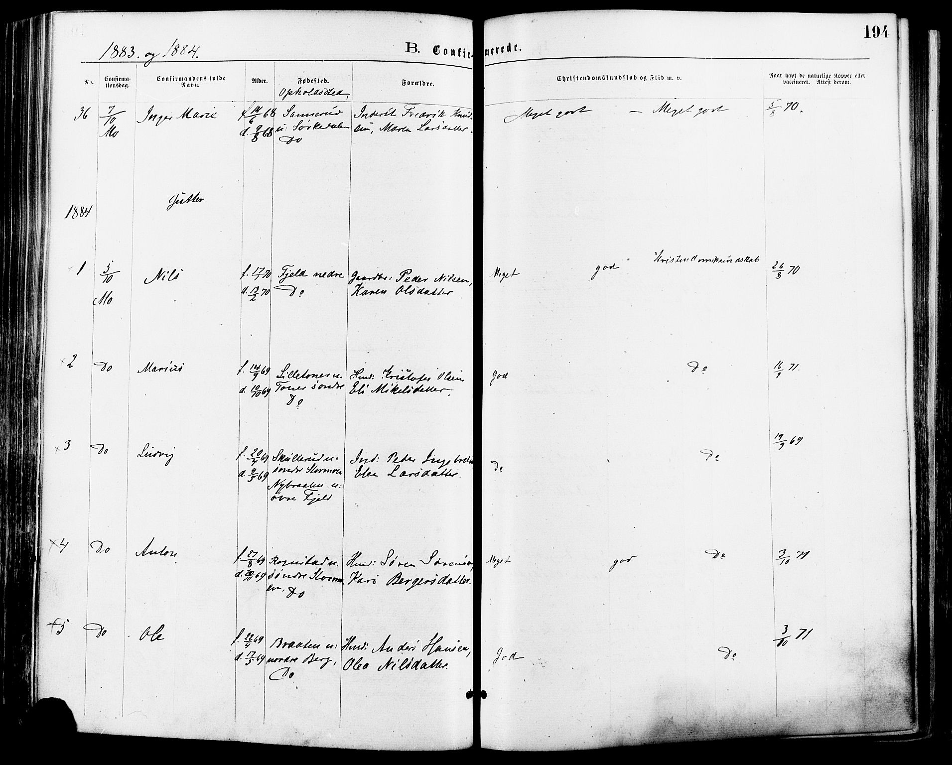 Nord-Odal prestekontor, AV/SAH-PREST-032/H/Ha/Haa/L0005: Parish register (official) no. 5, 1874-1885, p. 194