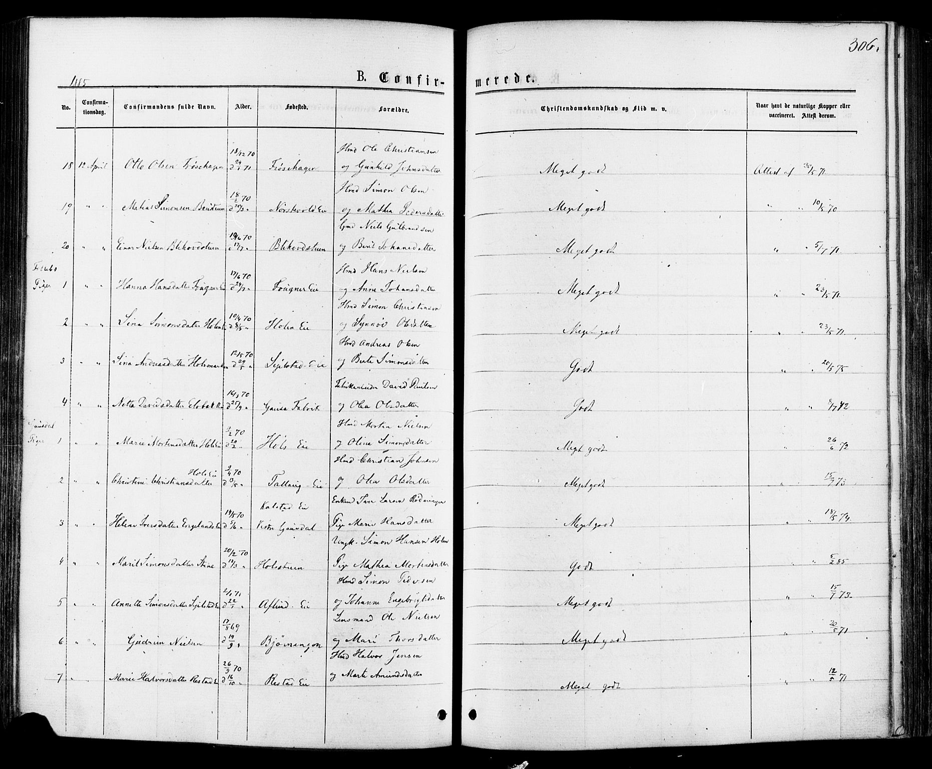 Østre Gausdal prestekontor, SAH/PREST-092/H/Ha/Haa/L0001: Parish register (official) no. 1, 1874-1886, p. 306