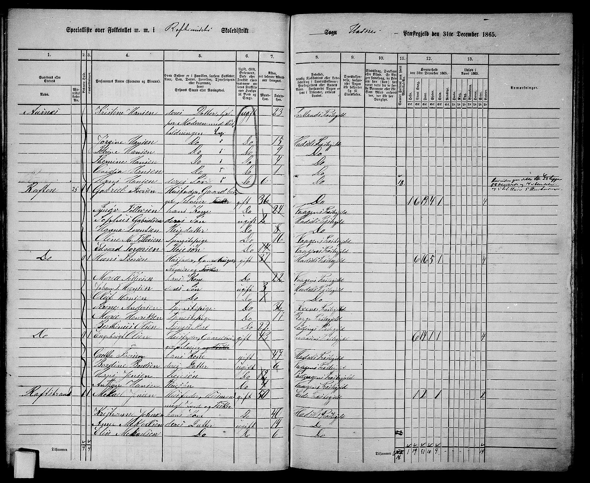 RA, 1865 census for Hadsel, 1865, p. 48