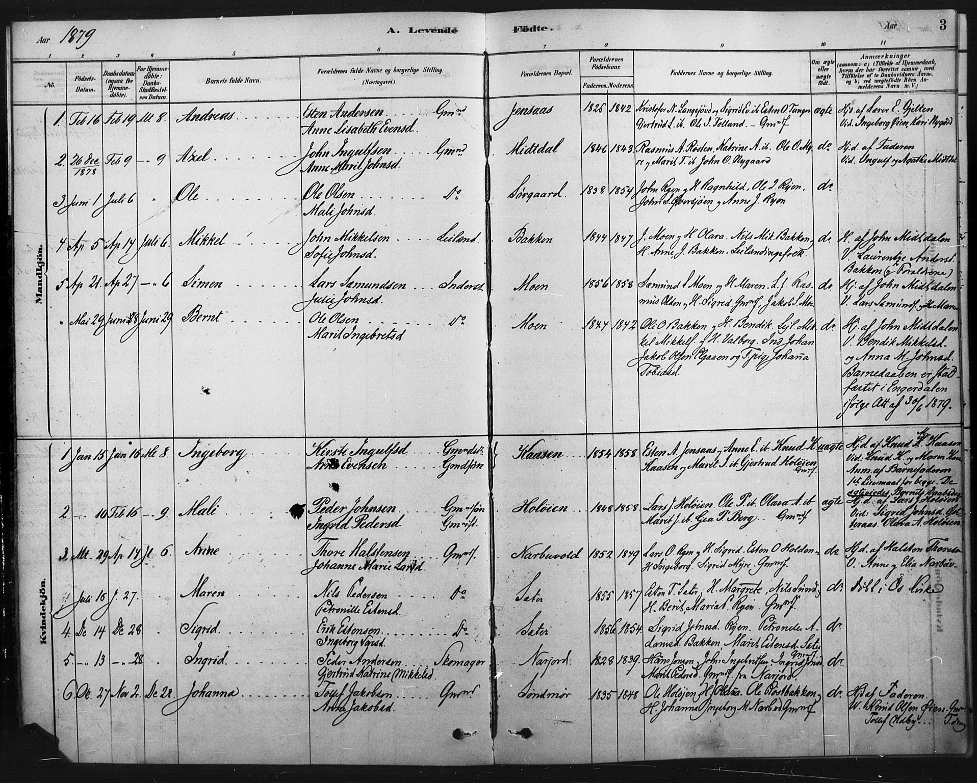 Tolga prestekontor, AV/SAH-PREST-062/K/L0007: Parish register (official) no. 7, 1877-1900, p. 3