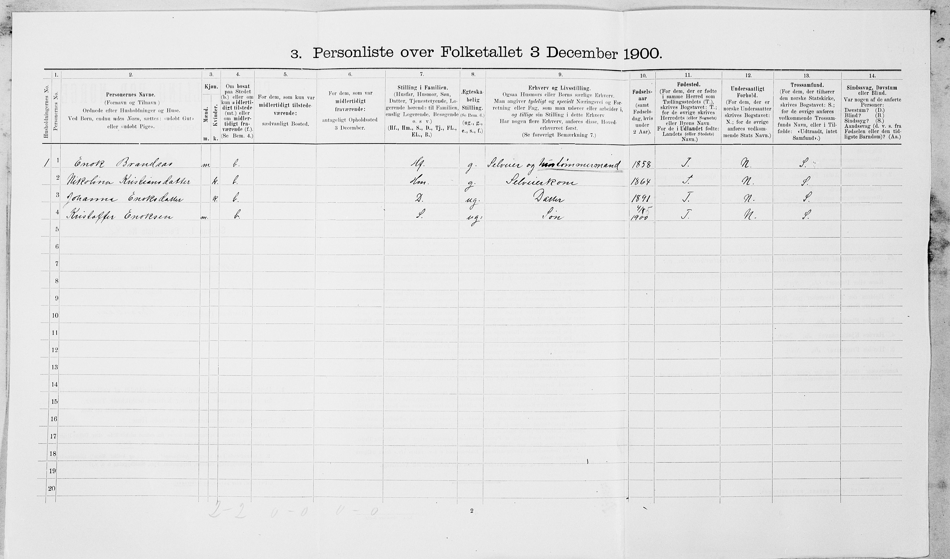 SAT, 1900 census for Leksvik, 1900, p. 243